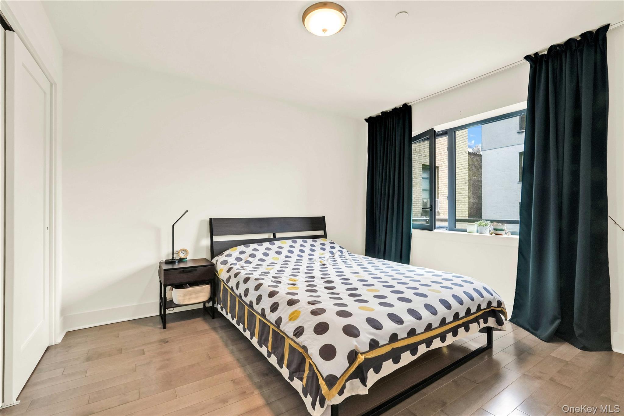 Condo 29th Queens, NY 11106, MLS-977713-9