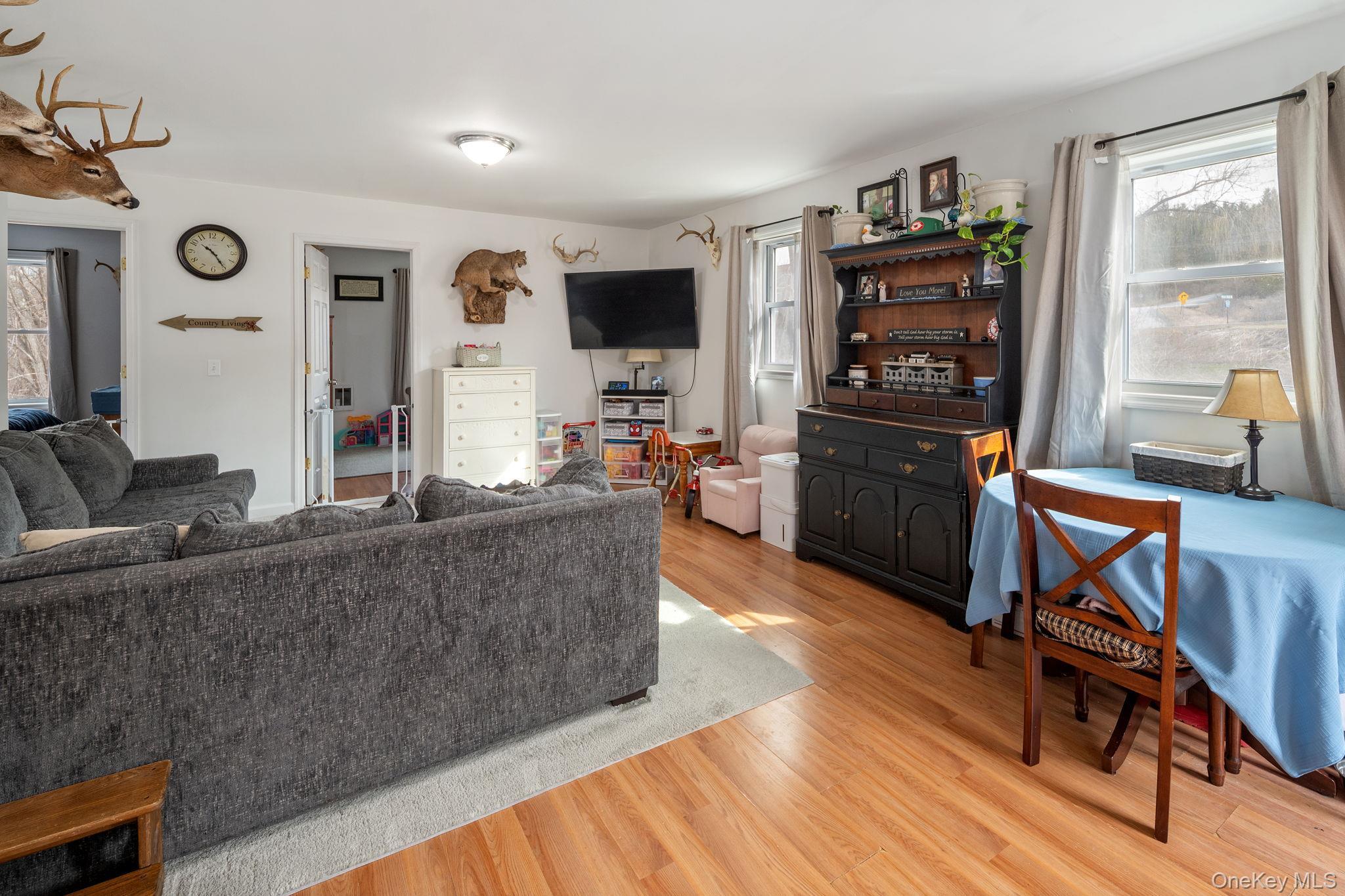 Single Family State Route 145  Out Of Area, NY 12122, MLS-977723-5