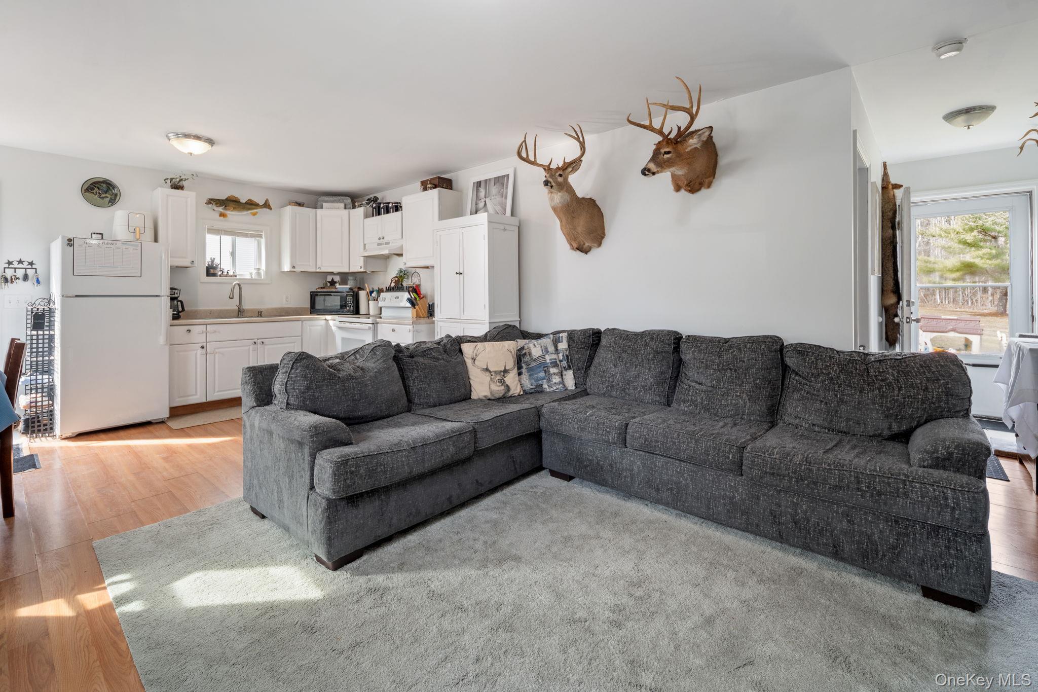 Single Family State Route 145  Out Of Area, NY 12122, MLS-977723-8