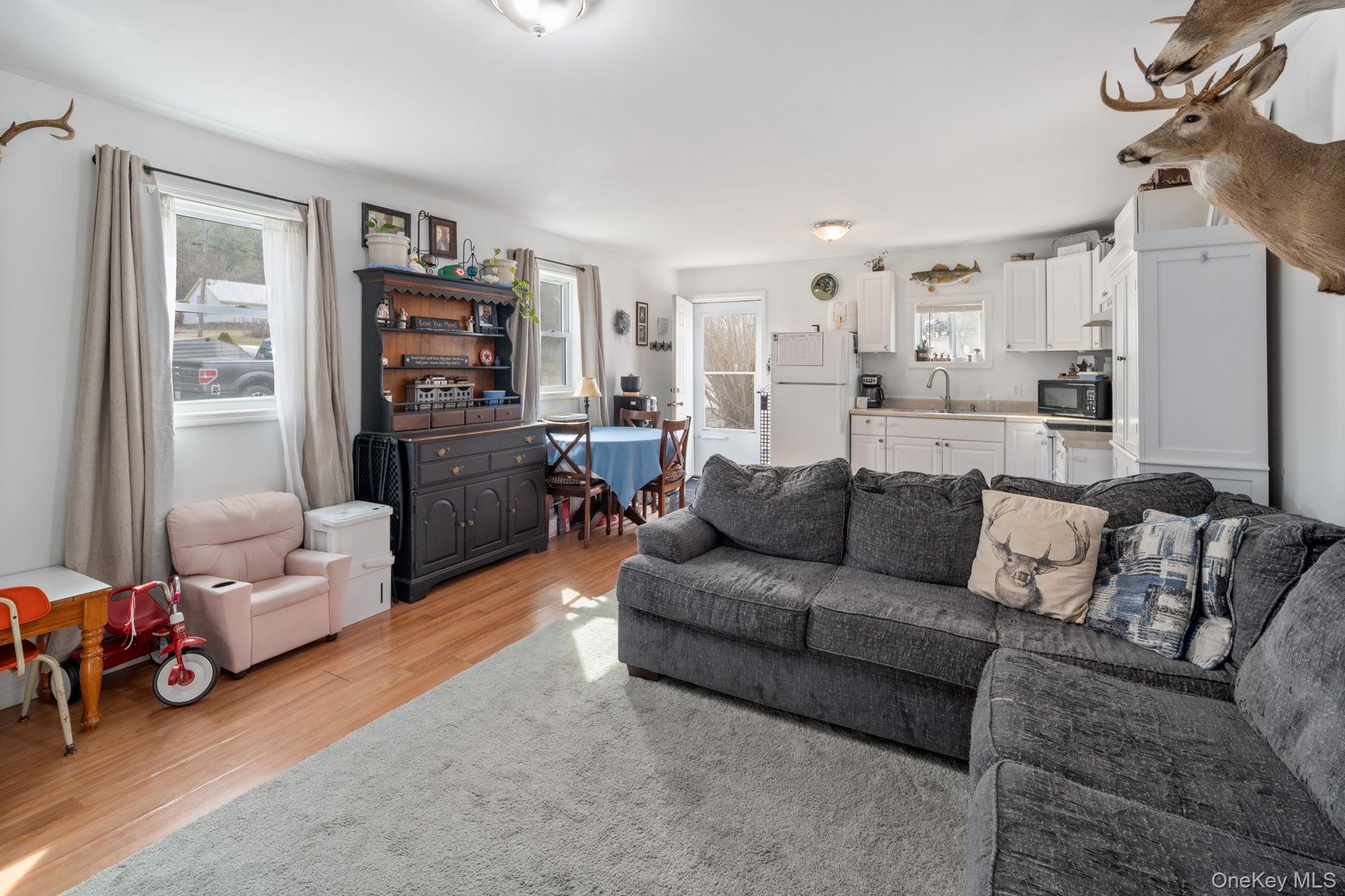 Single Family State Route 145  Out Of Area, NY 12122, MLS-977723-9