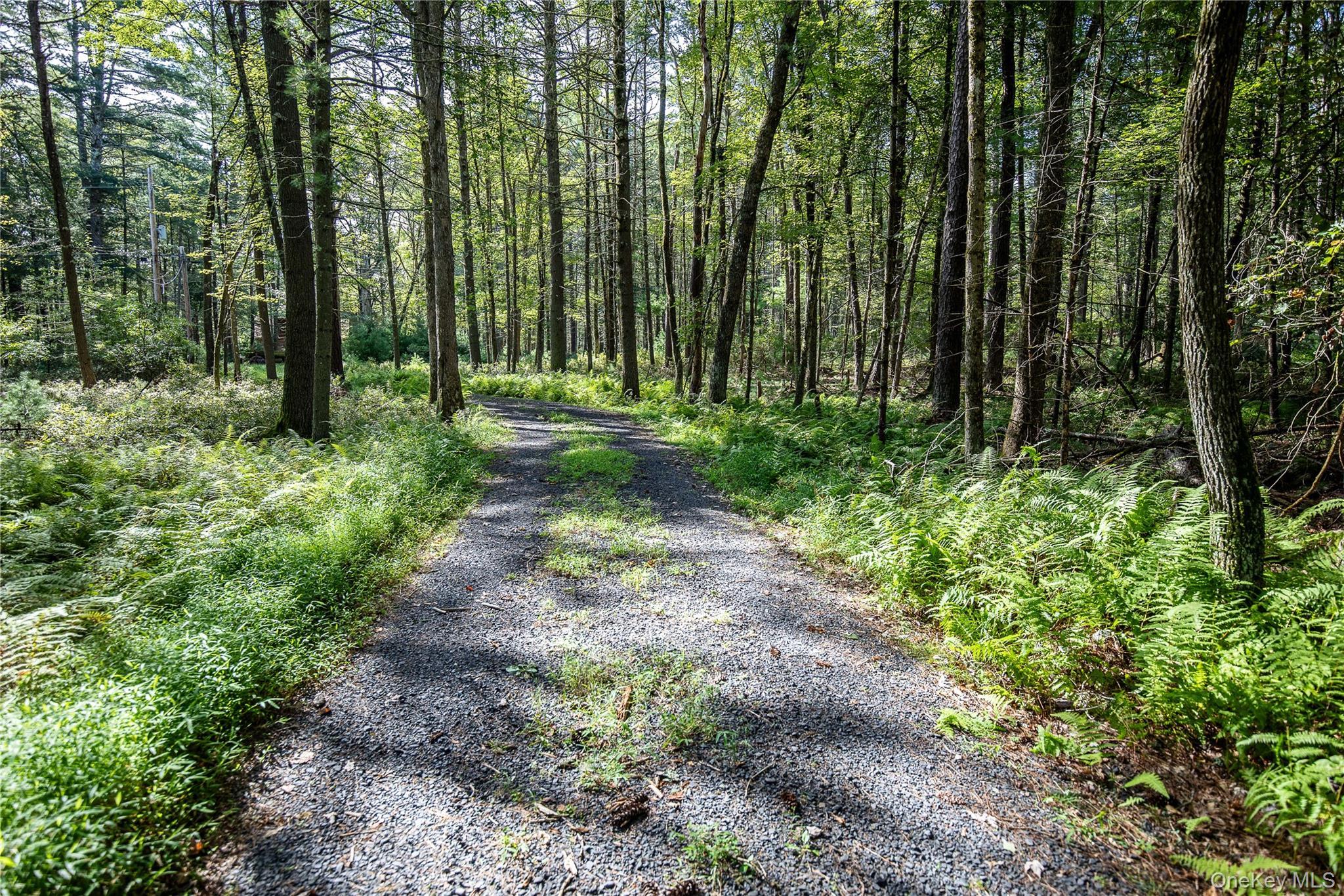 Single Family Woods Road  Sullivan County, NY 12792, MLS-977778-14