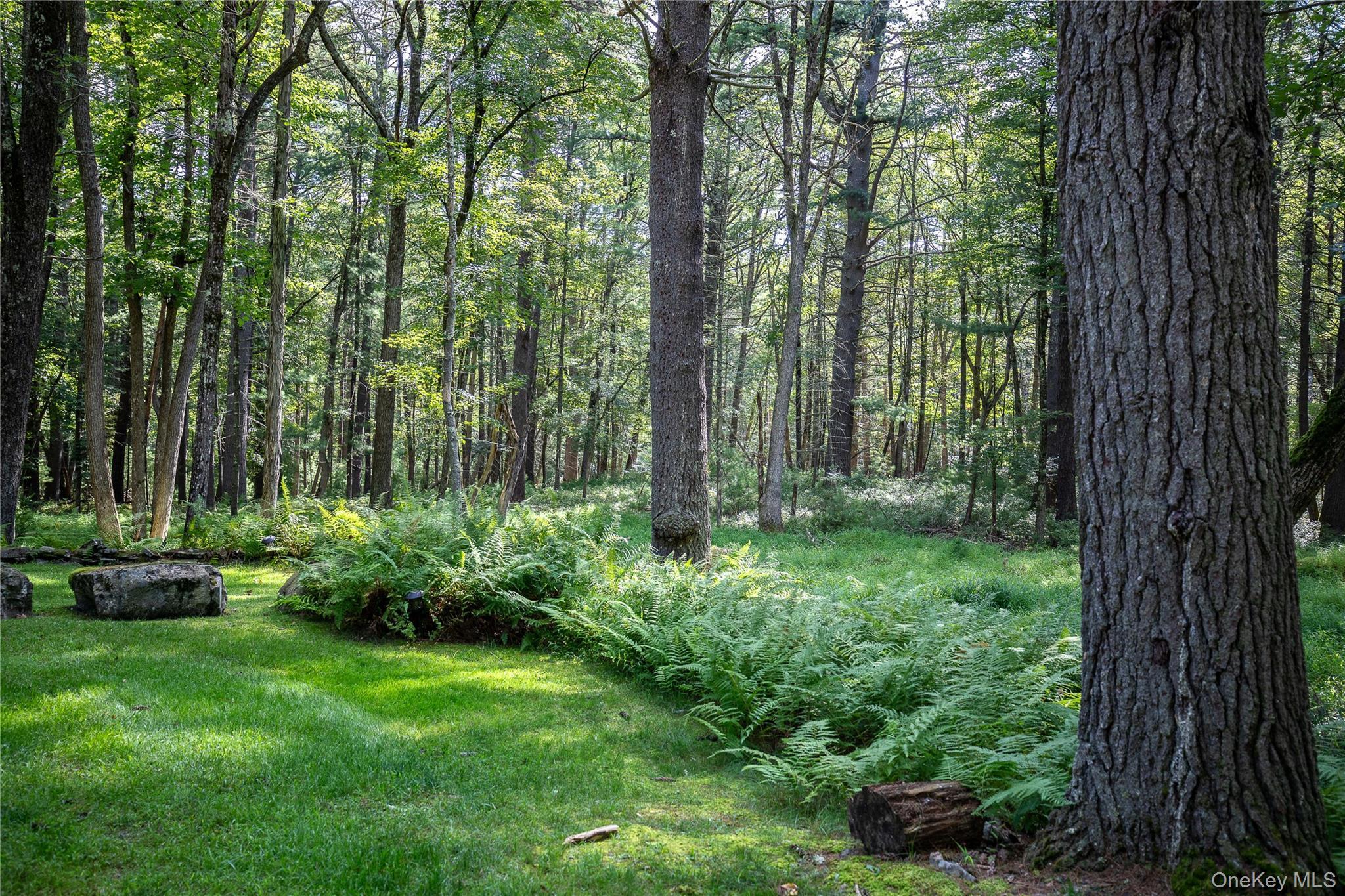 Single Family Woods Road  Sullivan County, NY 12792, MLS-977778-16