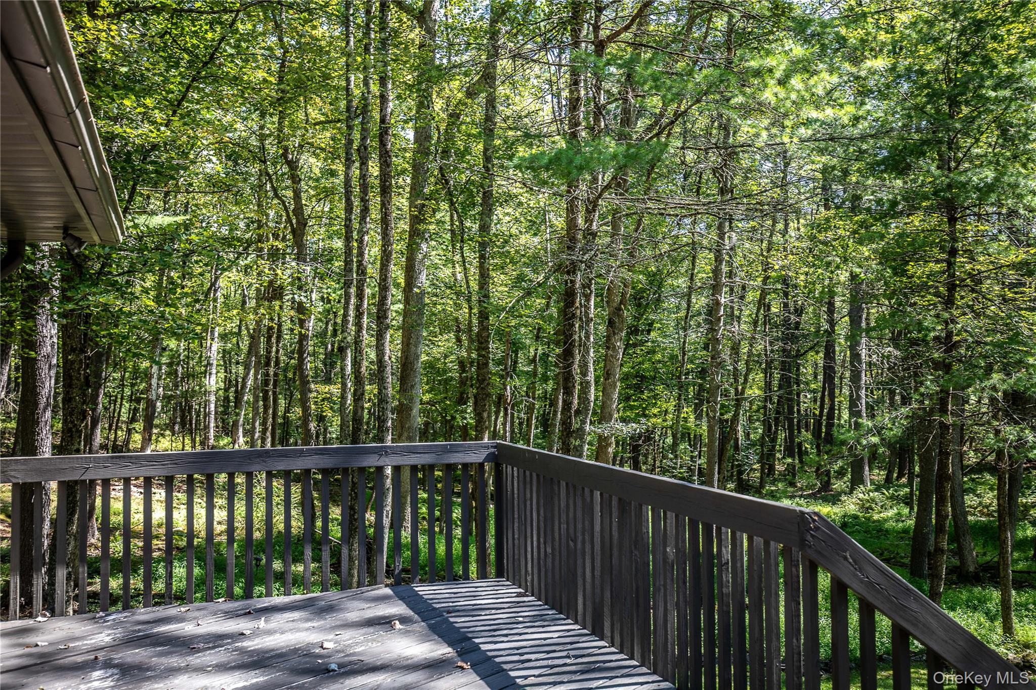 Single Family Woods Road  Sullivan County, NY 12792, MLS-977778-21