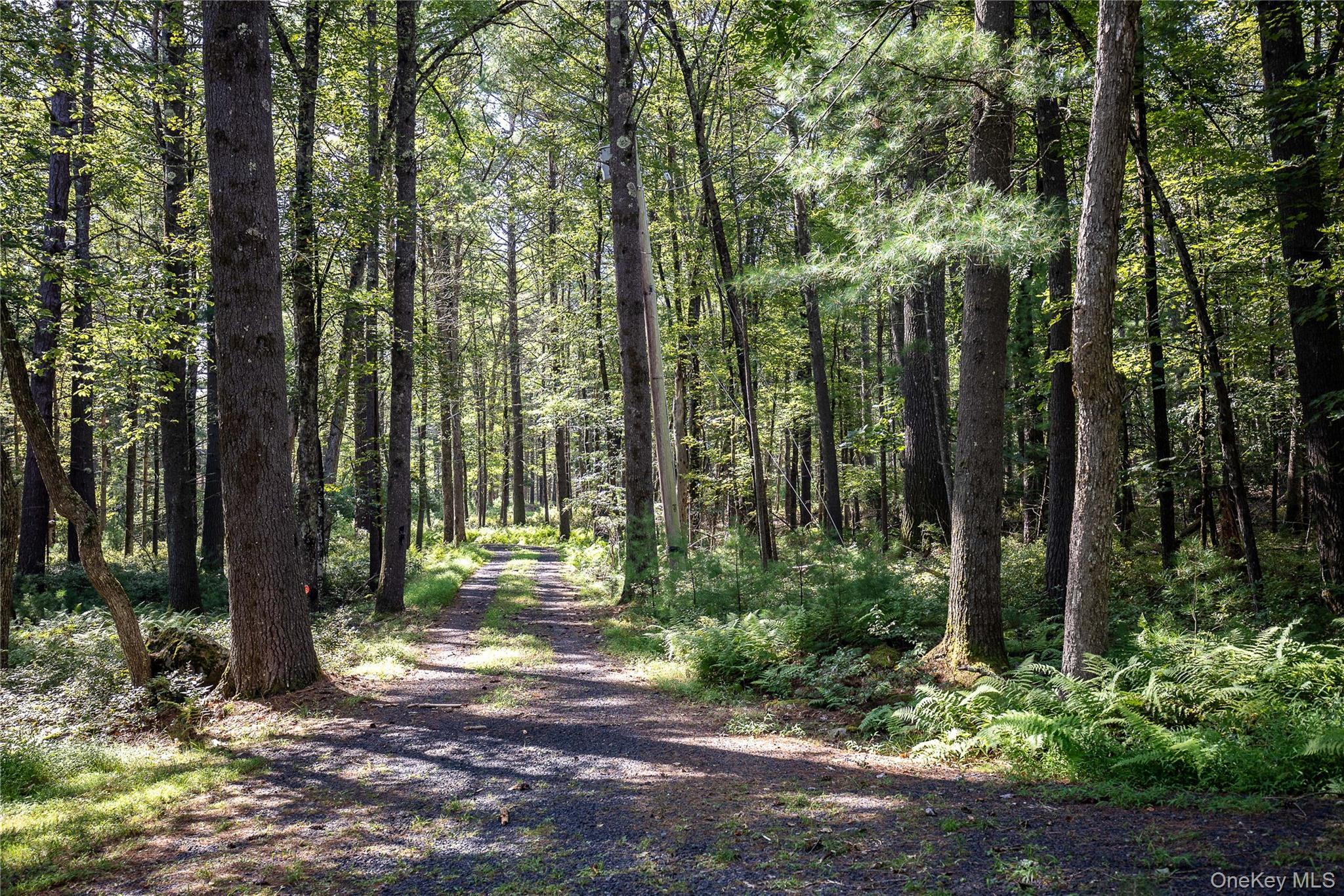 Single Family Woods Road  Sullivan County, NY 12792, MLS-977778-22