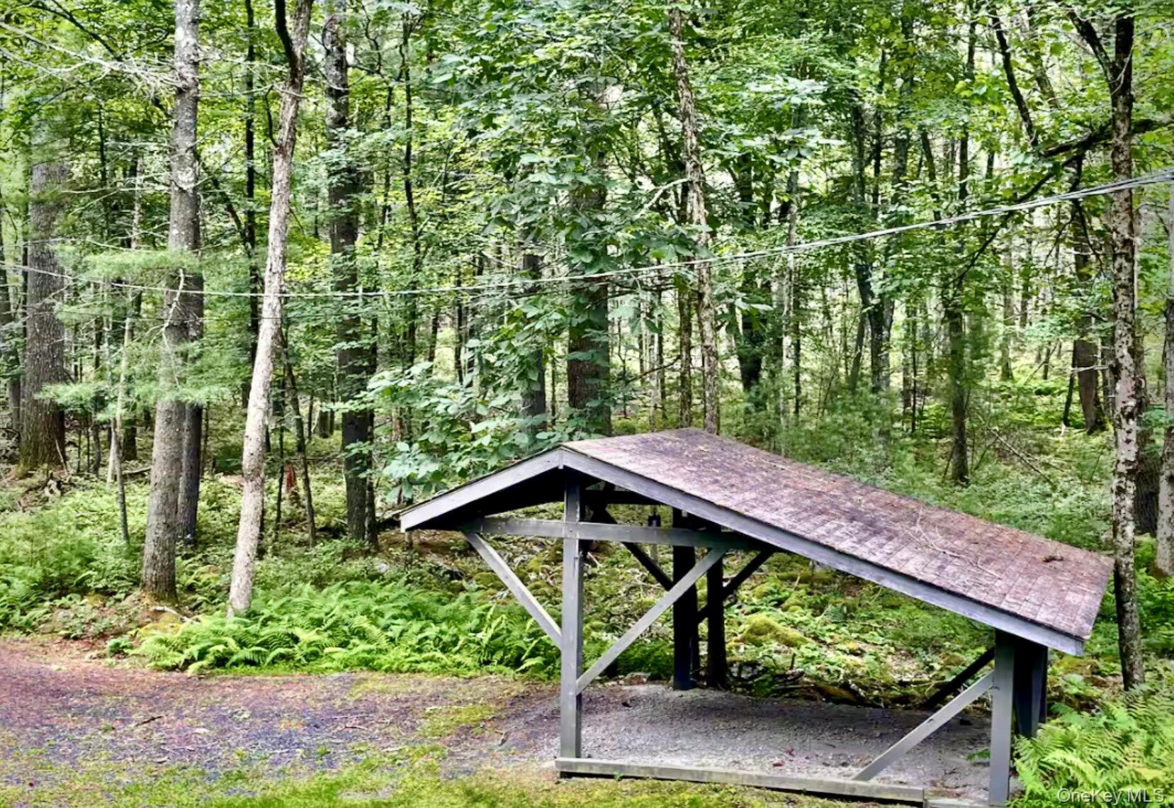 Single Family Woods Road  Sullivan County, NY 12792, MLS-977778-23