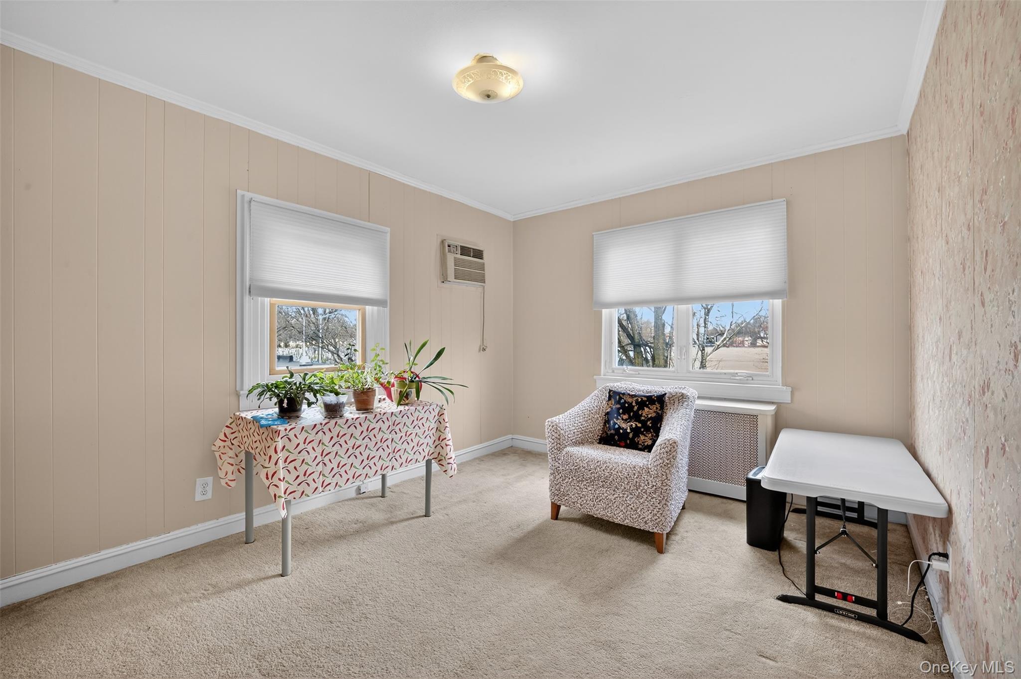 Single Family 65th Drive Queens, NY 11374, MLS-977829-23