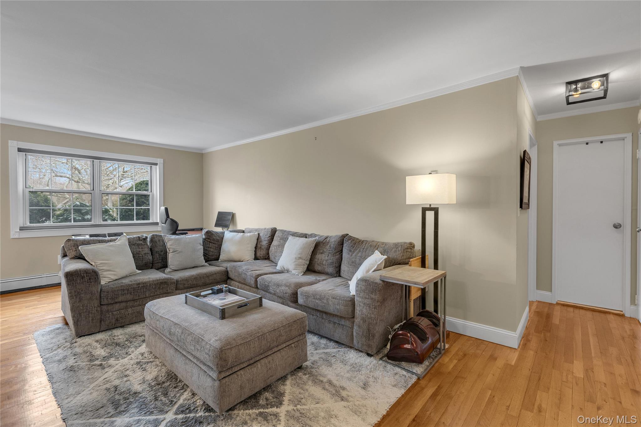 Coop Lakeland  Suffolk County, NY 11782, MLS-977832-2