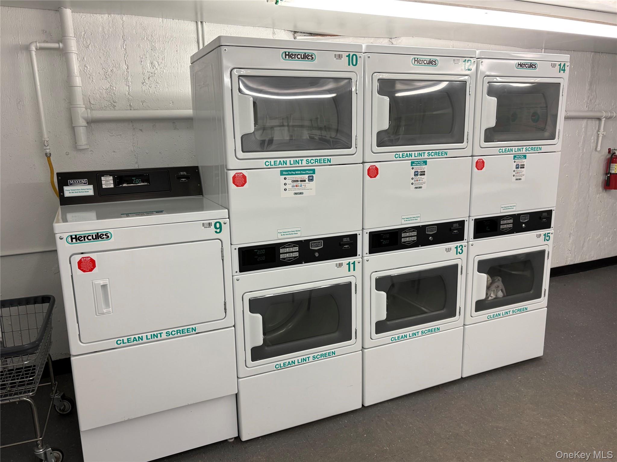 Coop Lakeland  Suffolk County, NY 11782, MLS-977832-21