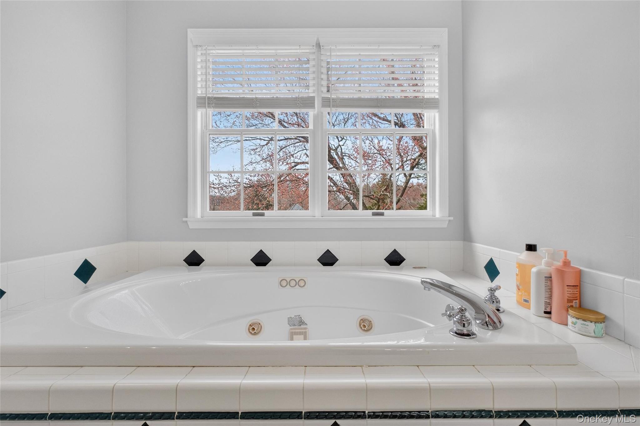 Single Family Coachlight  Dutchess County, NY 12603, MLS-977842-26