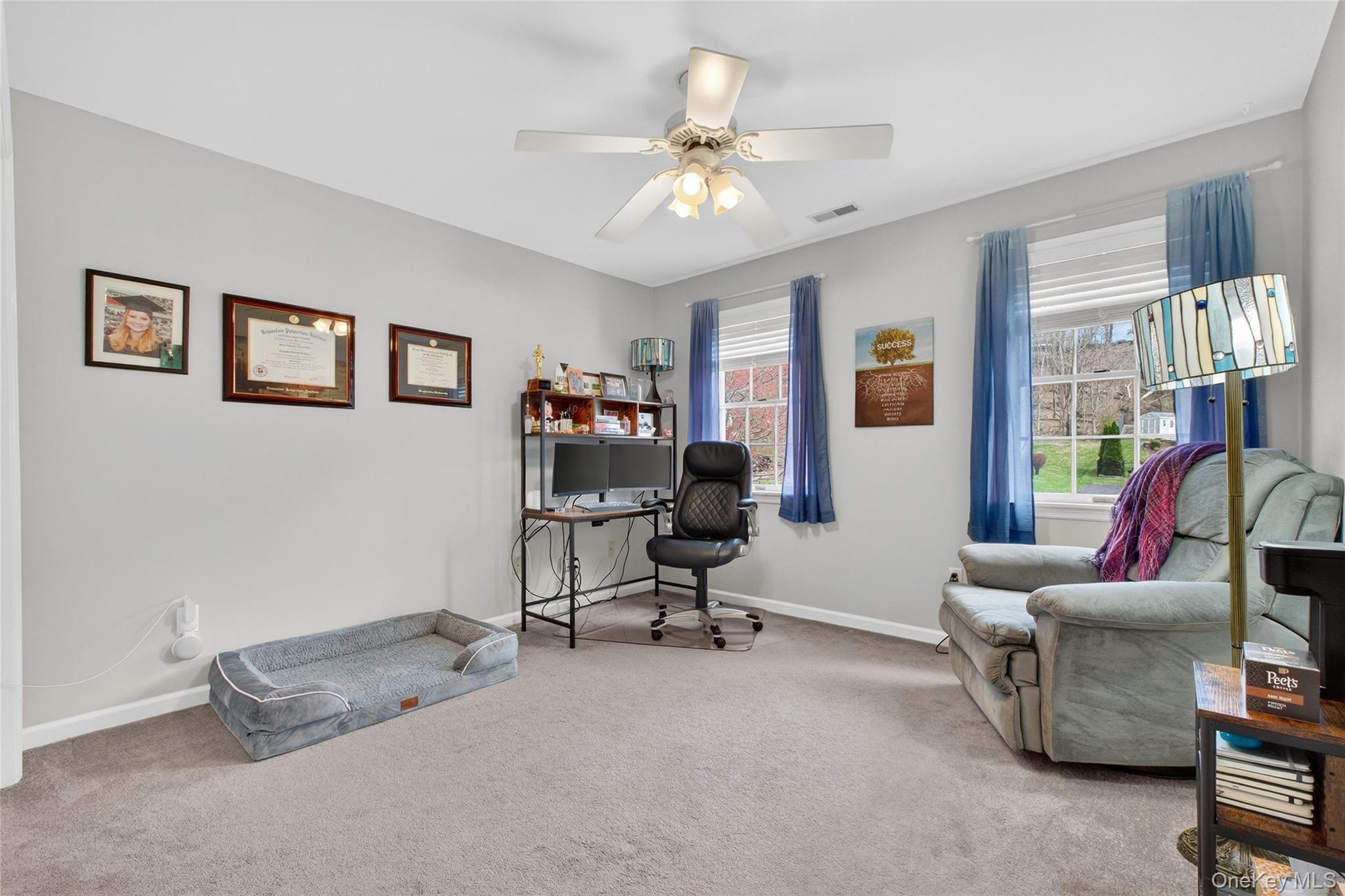 Single Family Coachlight  Dutchess County, NY 12603, MLS-977842-29