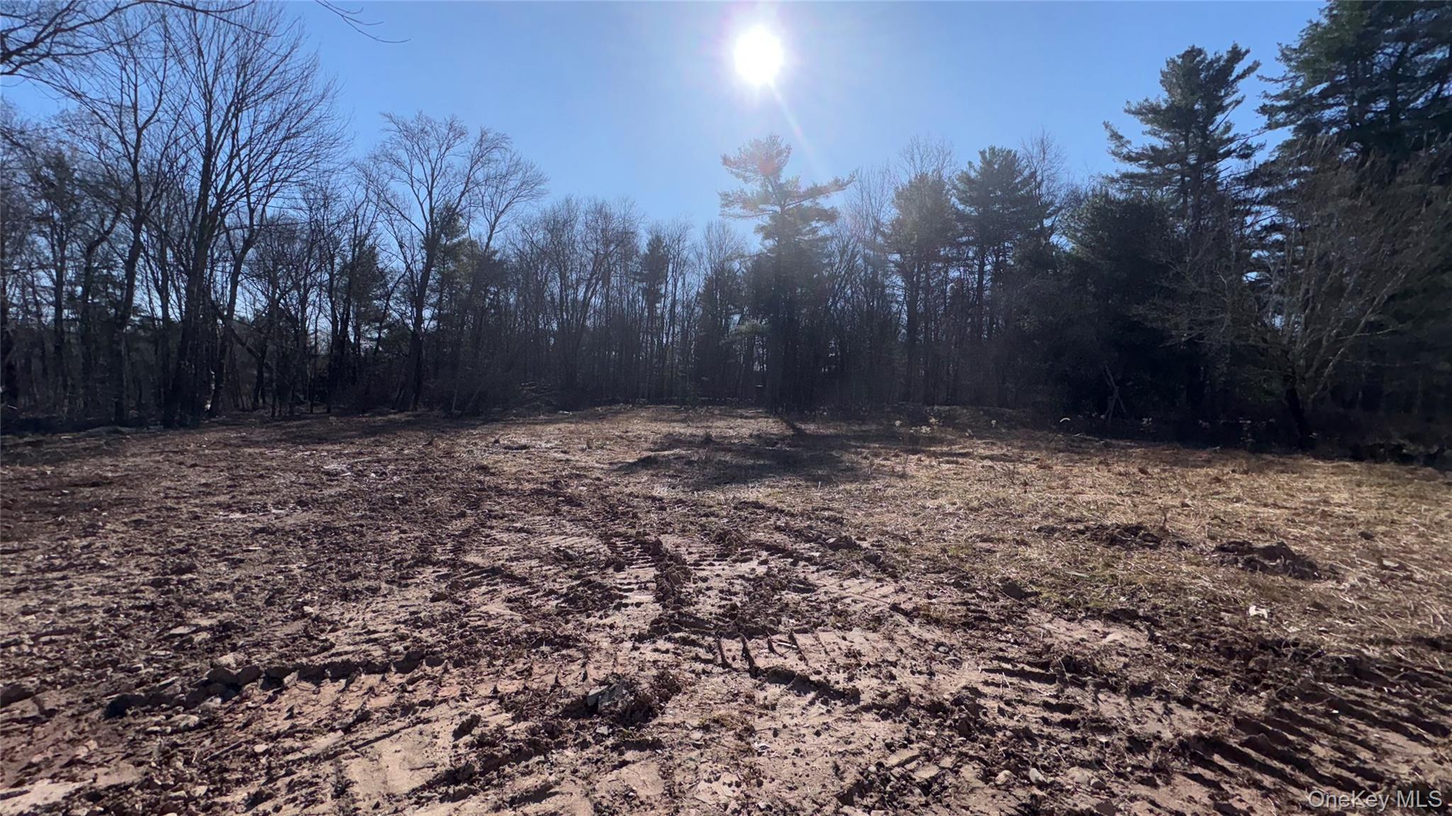 Single Family Pinewood Sullivan County, NY 12726, MLS-977877-25
