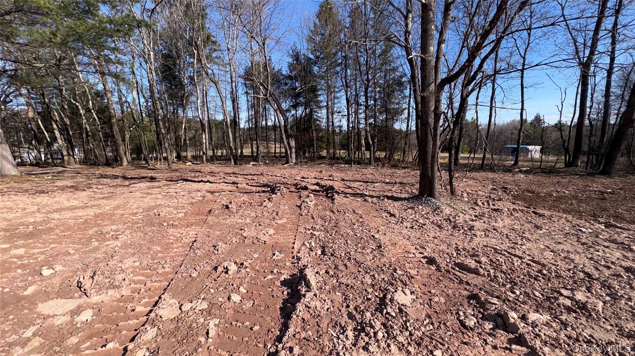 Single Family Pinewood Sullivan County, NY 12726, MLS-977877-26