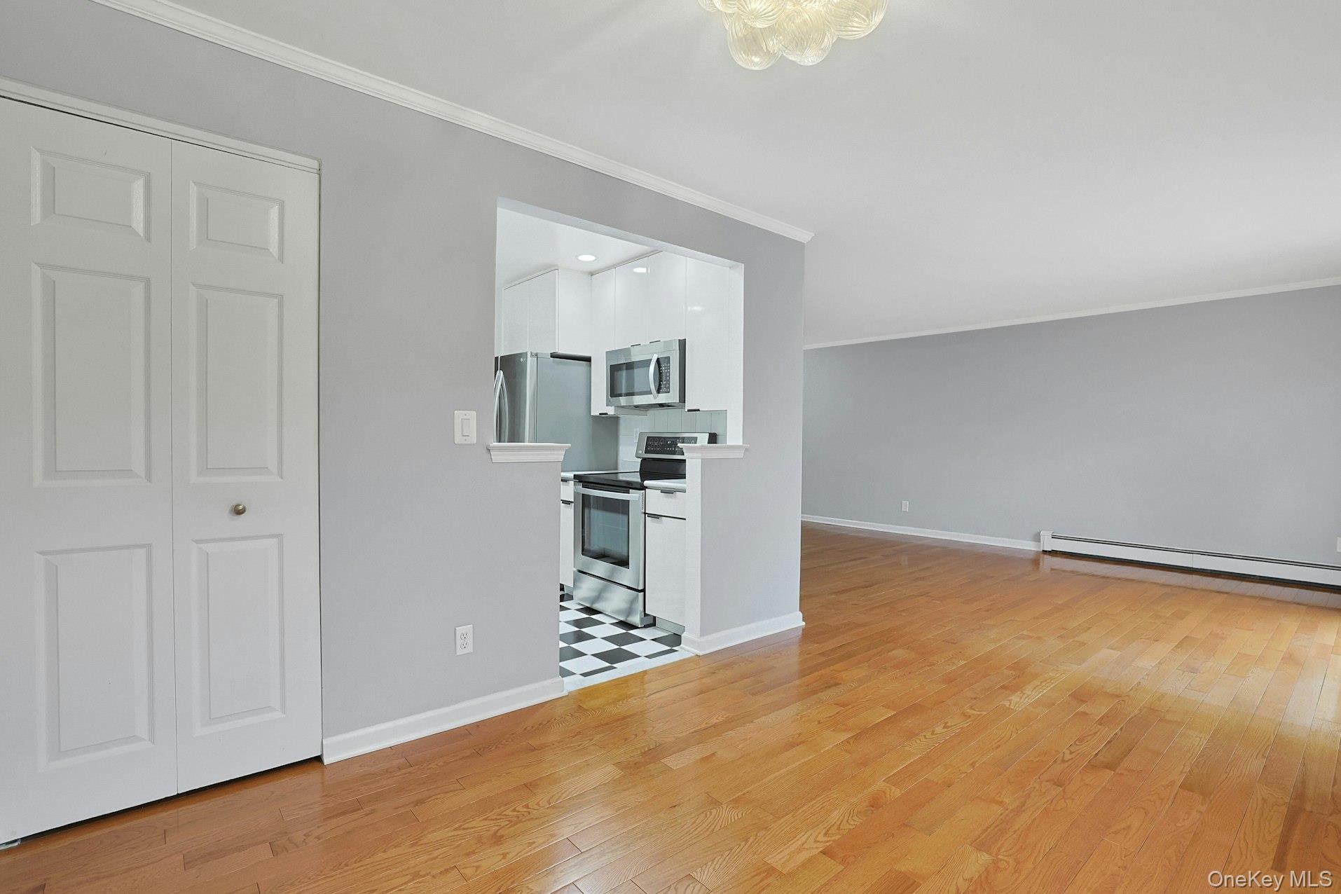 Condo Central Park Westchester County, NY 10583, MLS-977878-11