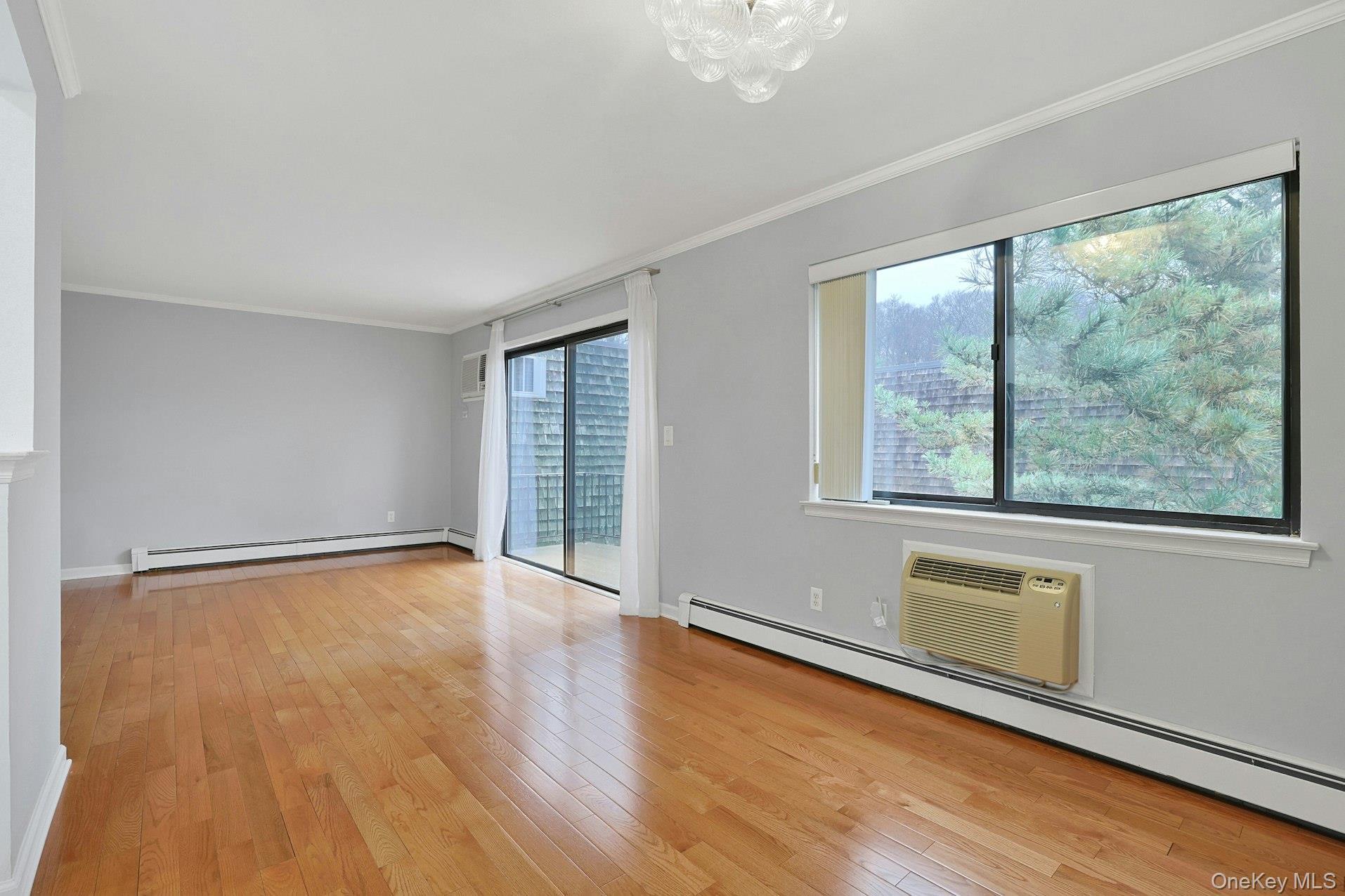 Condo Central Park Westchester County, NY 10583, MLS-977878-12