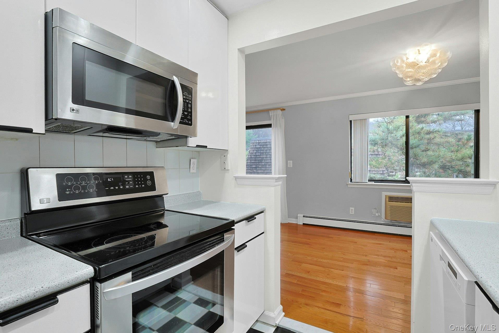 Condo Central Park Westchester County, NY 10583, MLS-977878-16