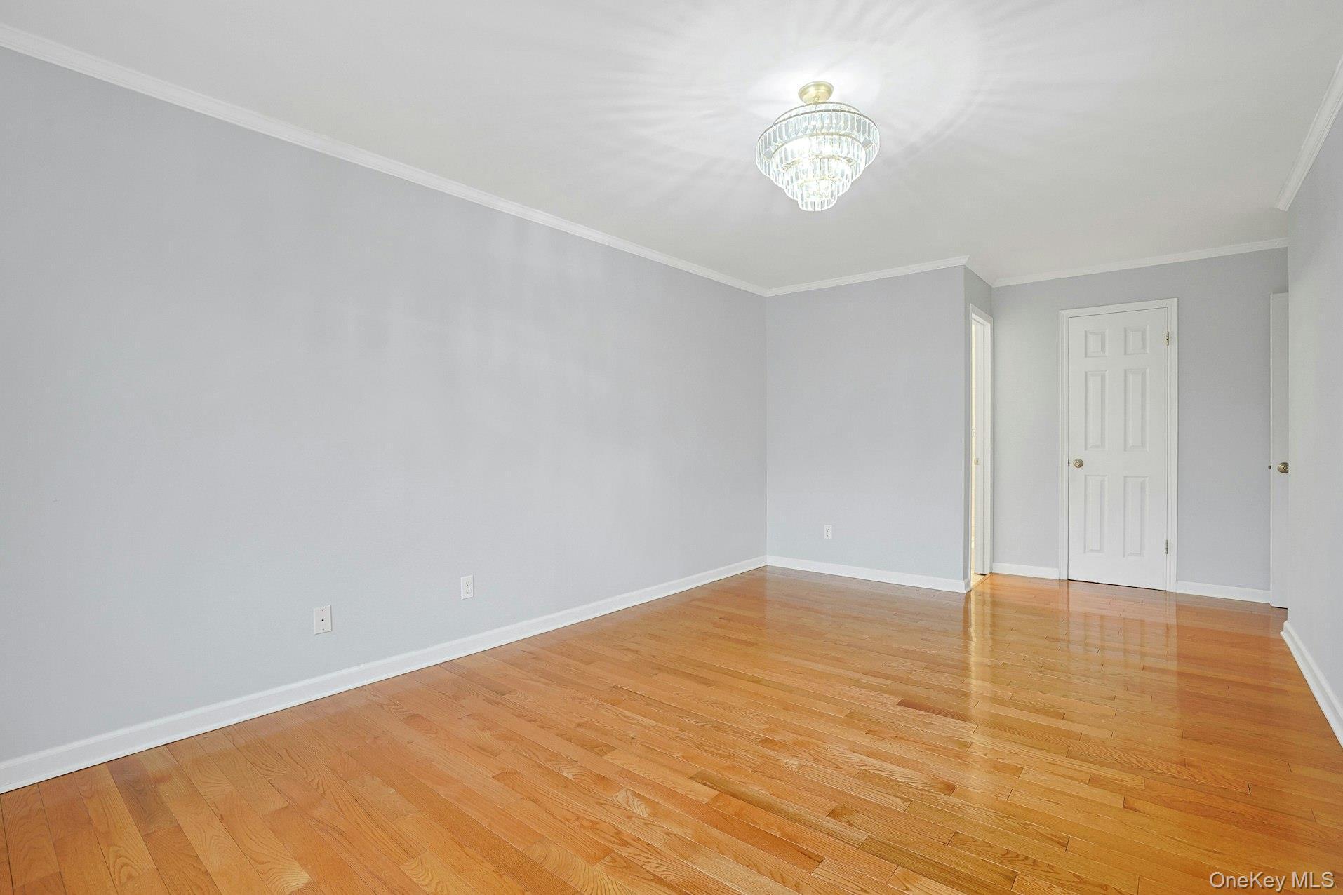 Condo Central Park Westchester County, NY 10583, MLS-977878-20