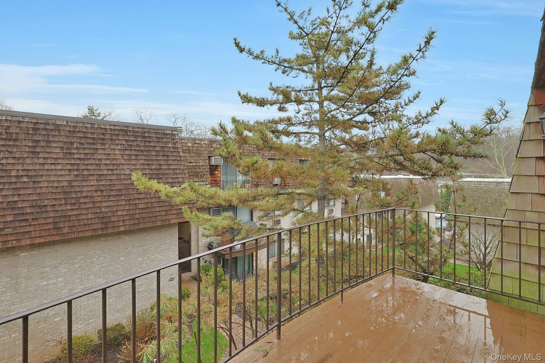 Condo Central Park Westchester County, NY 10583, MLS-977878-25