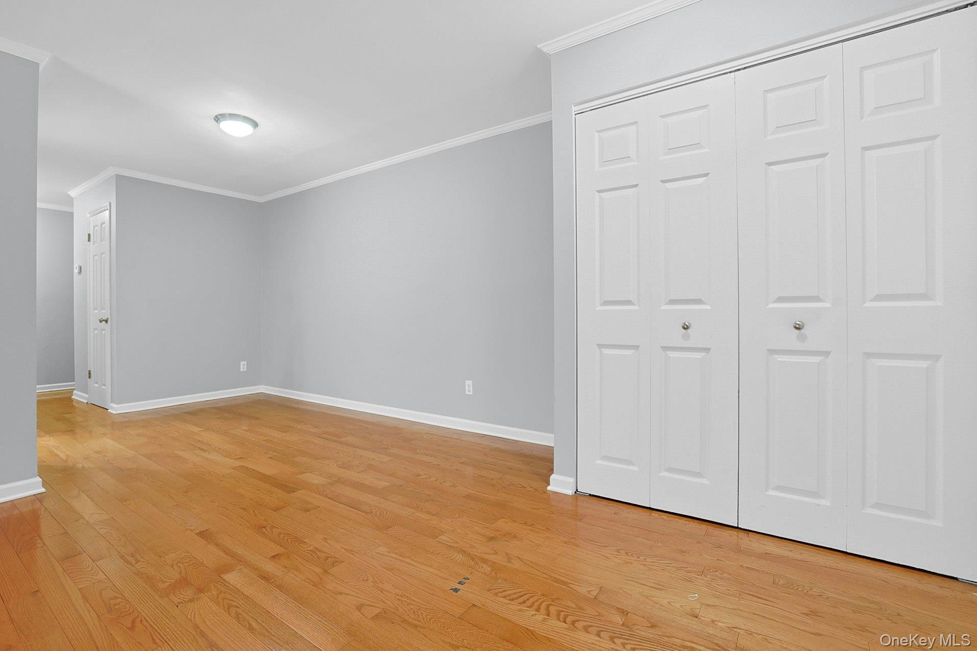 Condo Central Park Westchester County, NY 10583, MLS-977878-5