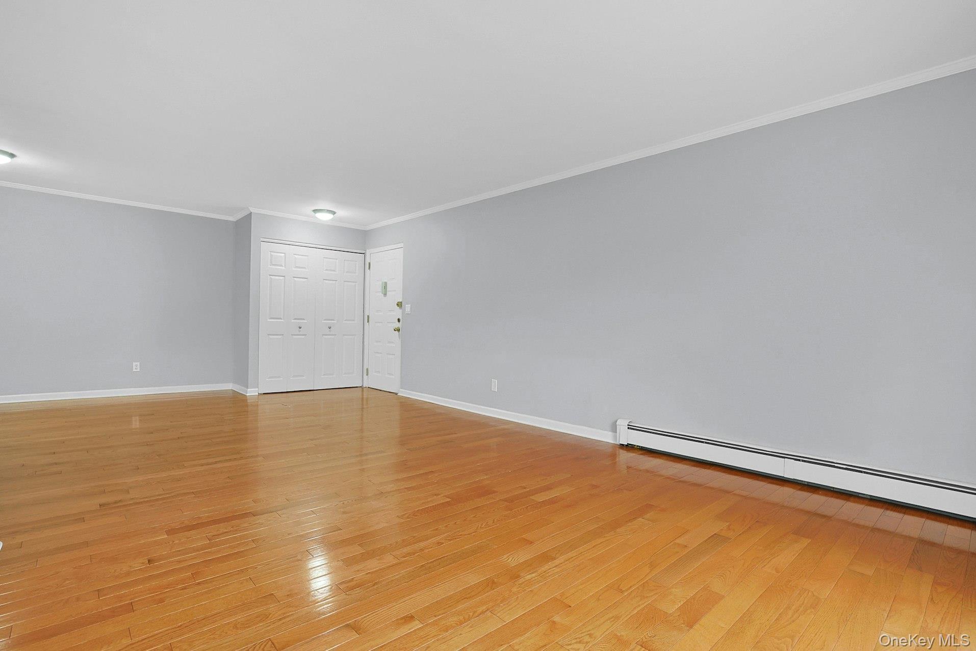 Condo Central Park Westchester County, NY 10583, MLS-977878-6