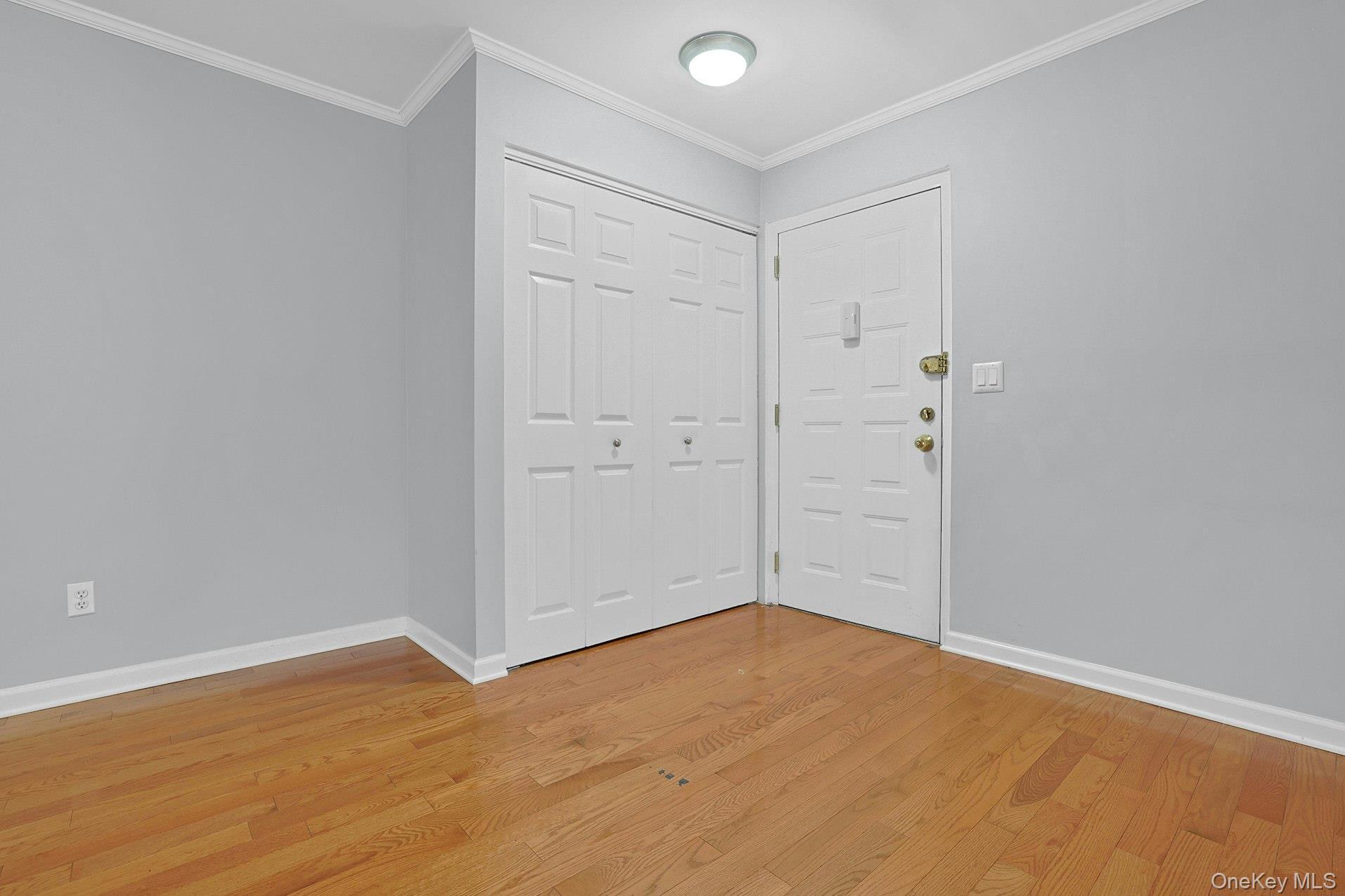 Condo Central Park Westchester County, NY 10583, MLS-977878-7