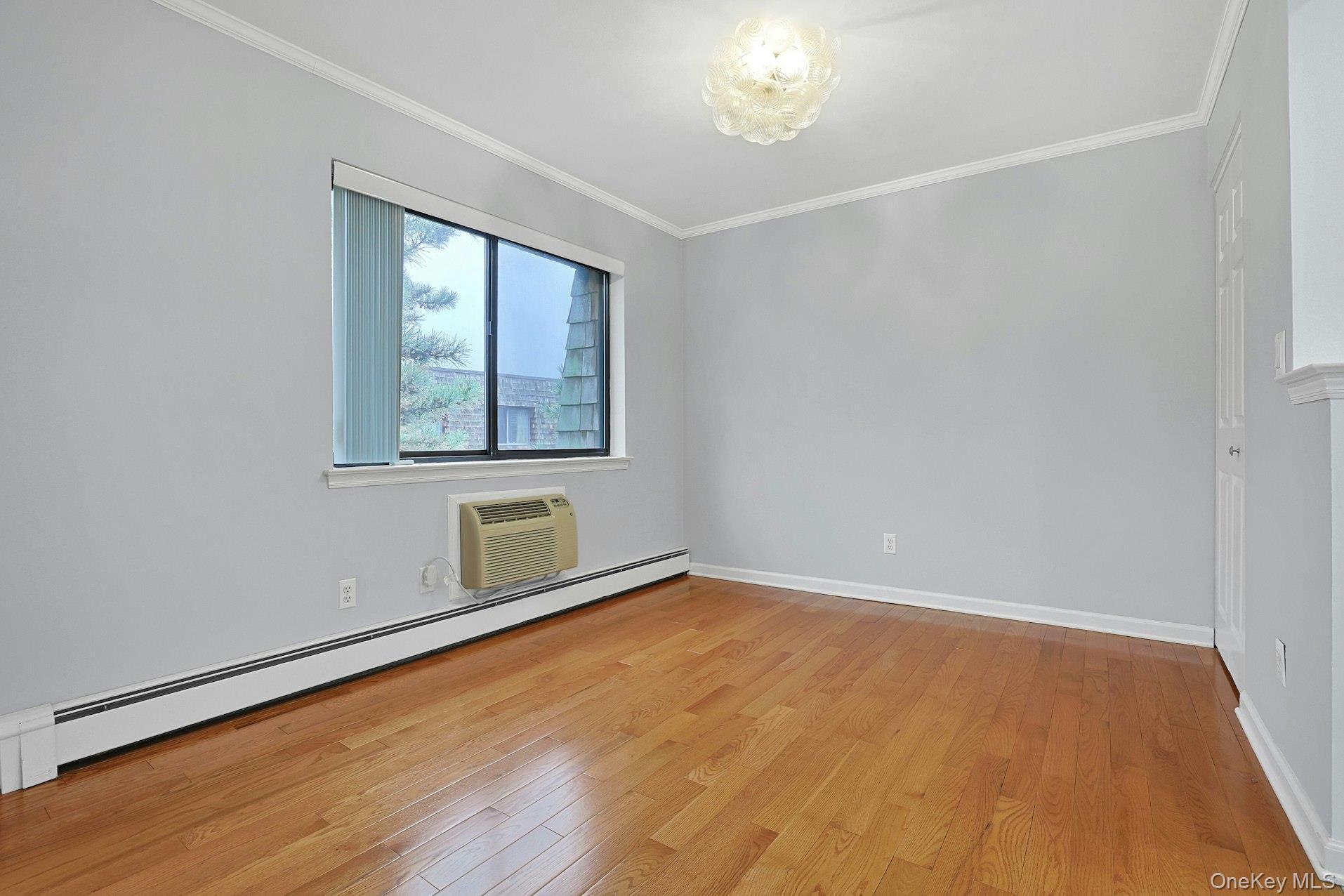 Condo Central Park Westchester County, NY 10583, MLS-977878-9