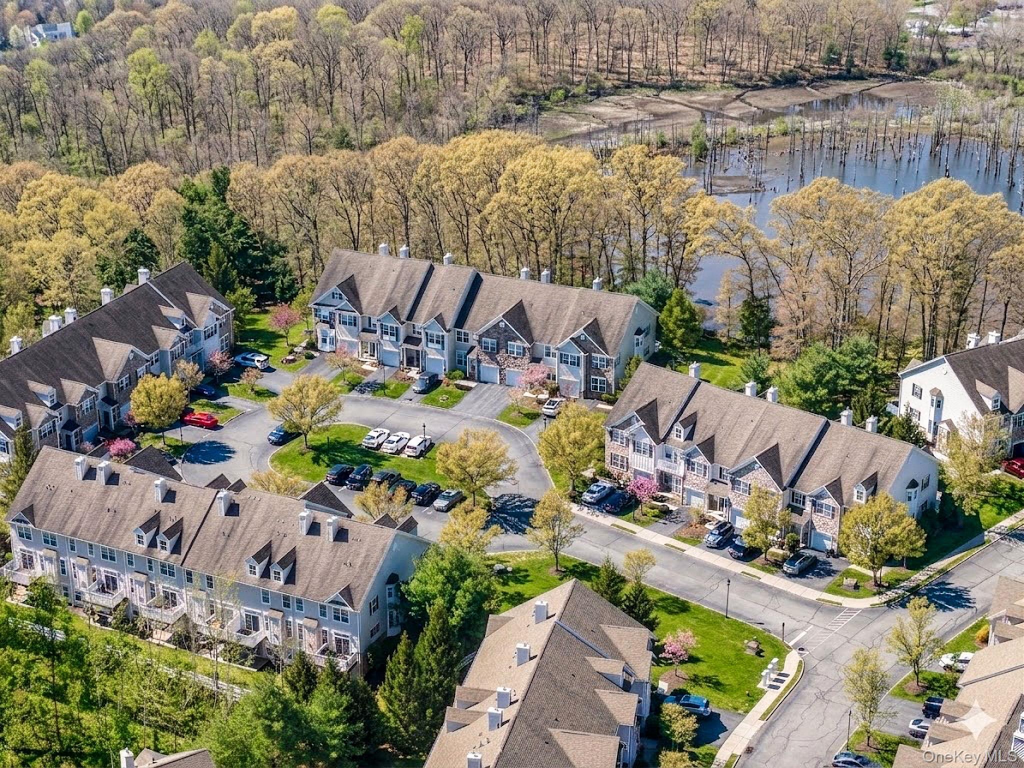 Condo Webster  Orange County, NY 10950, MLS-978014-3