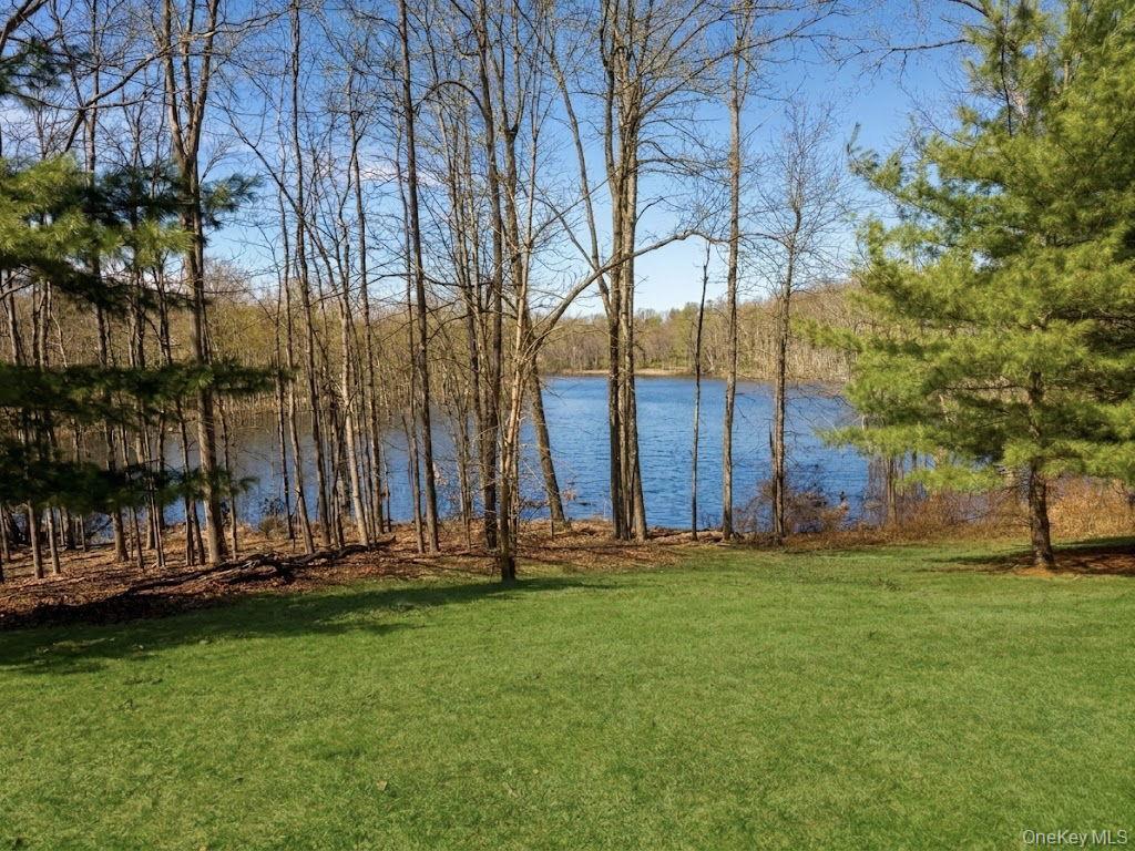 Condo Webster  Orange County, NY 10950, MLS-978014-39