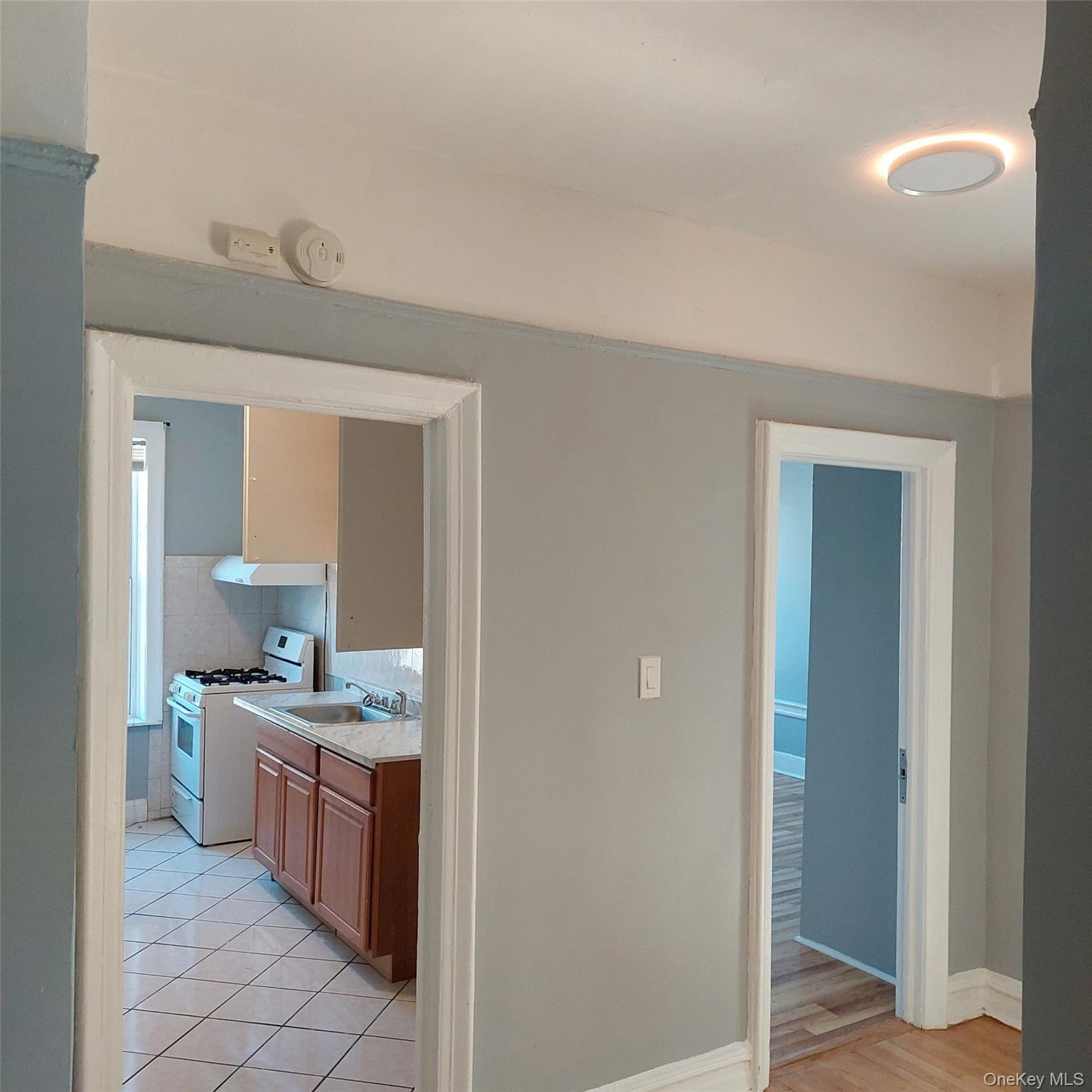 Apartment Hinsdale  Brooklyn, NY 11207, MLS-978032-3