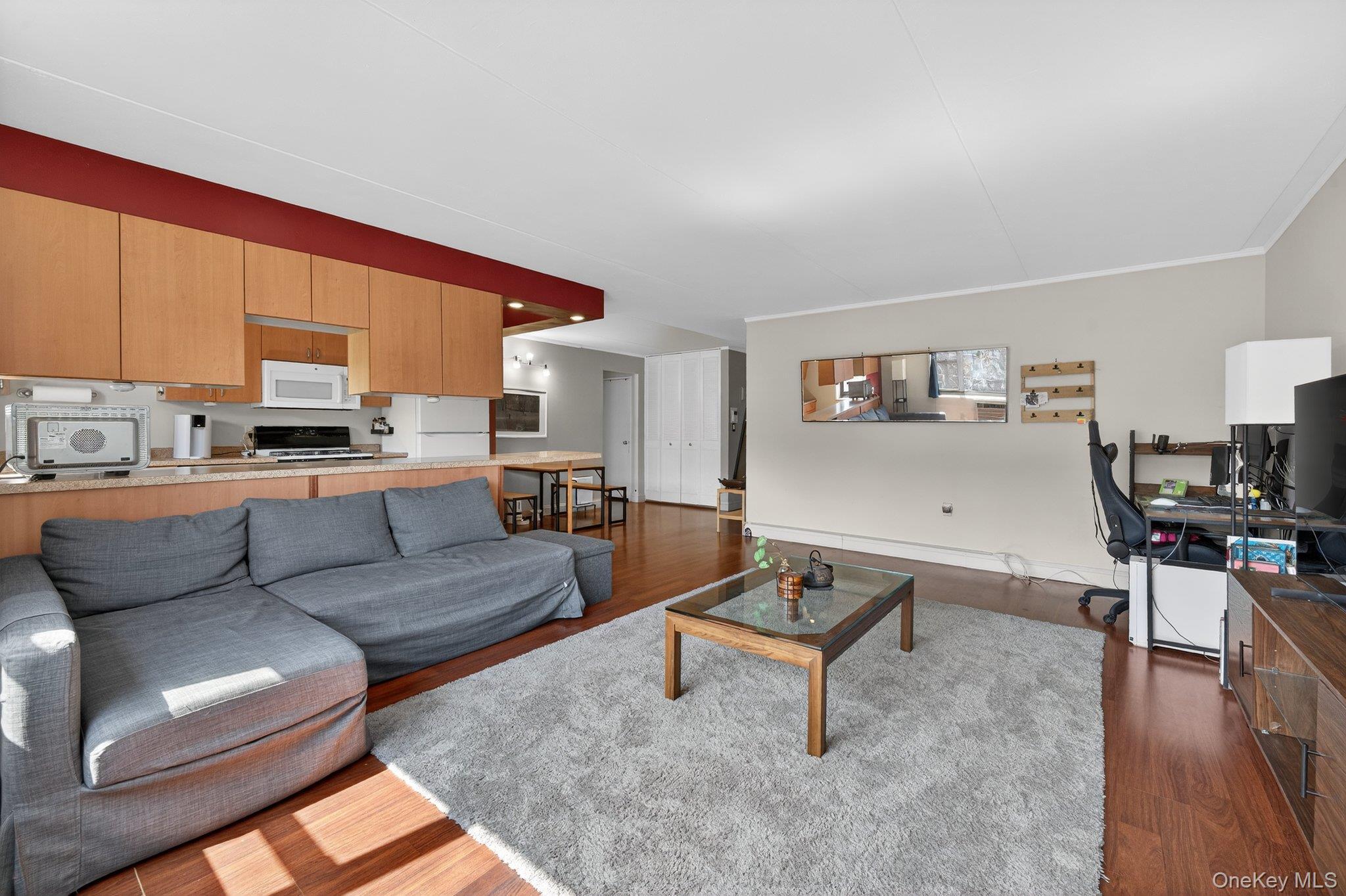 Coop Clinton  Nassau County, NY 11501, MLS-978037-10