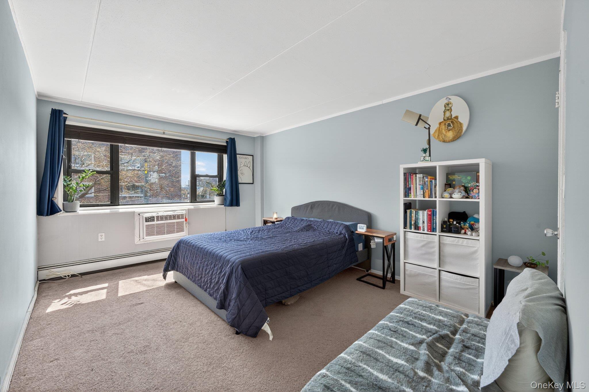 Coop Clinton  Nassau County, NY 11501, MLS-978037-17