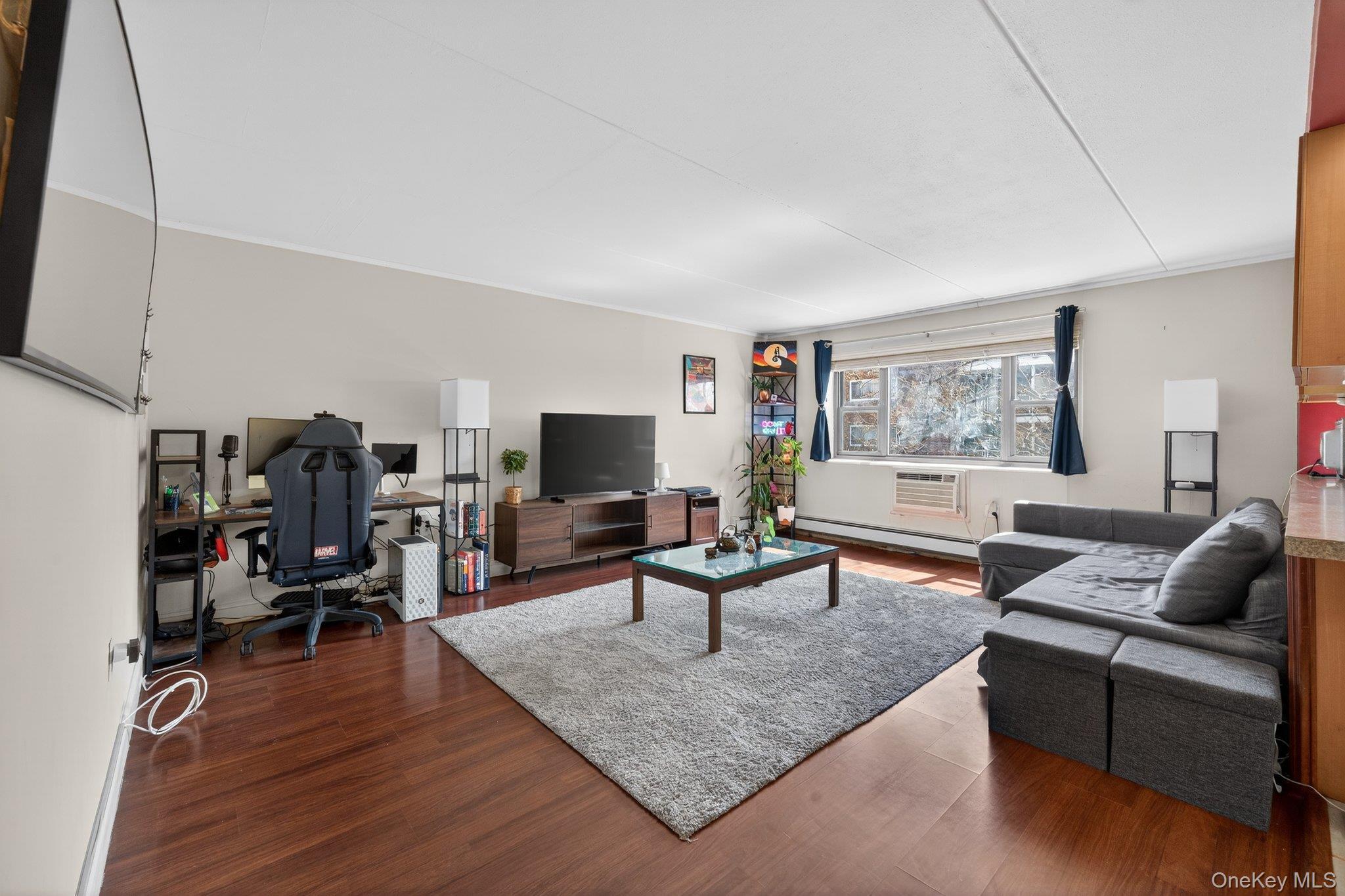 Coop Clinton  Nassau County, NY 11501, MLS-978037-8