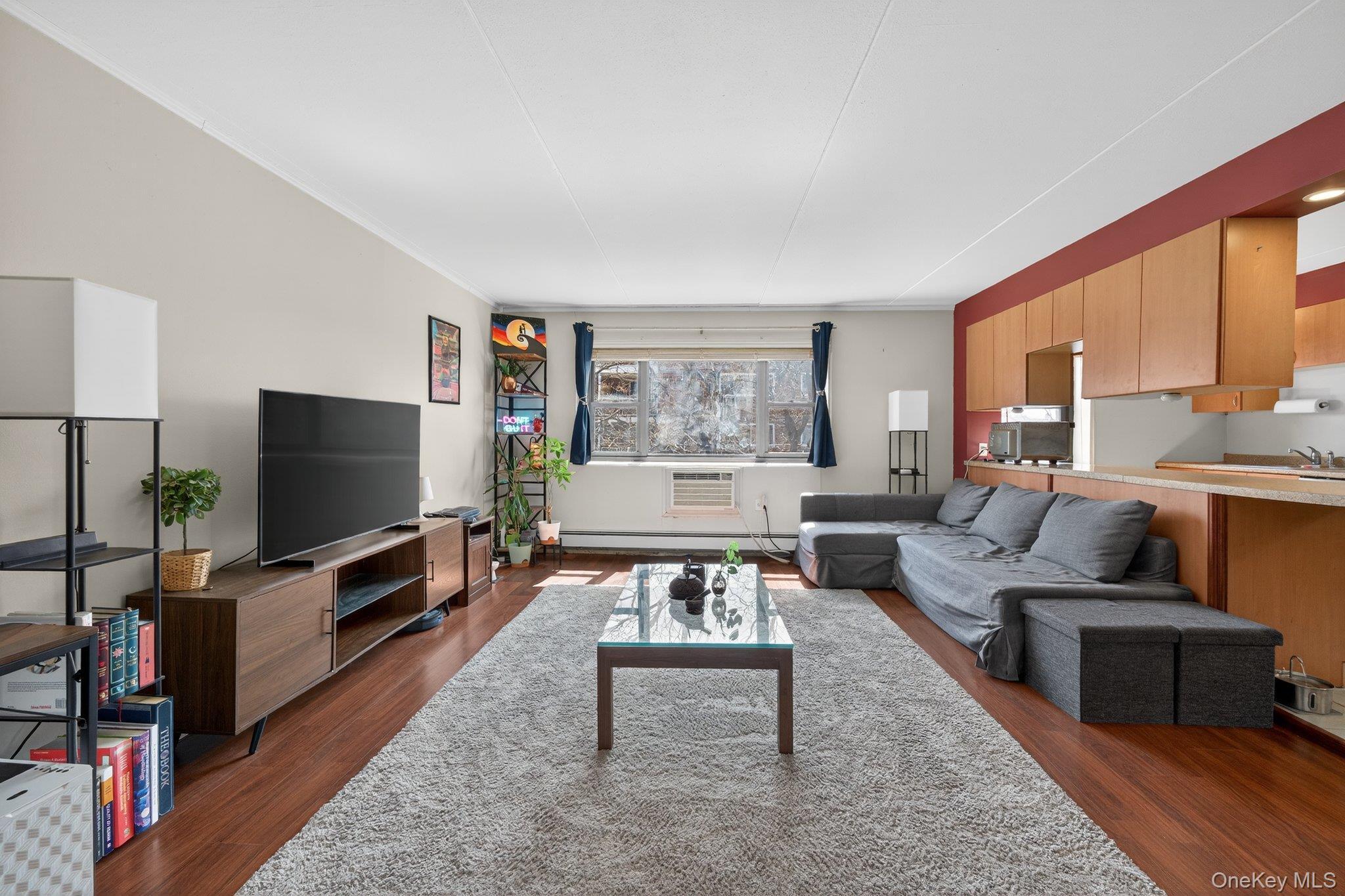 Coop Clinton  Nassau County, NY 11501, MLS-978037-9