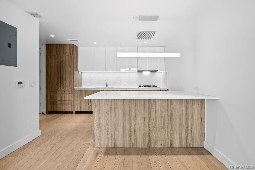 Condo Maple  Queens, NY 11355, MLS-978042-11