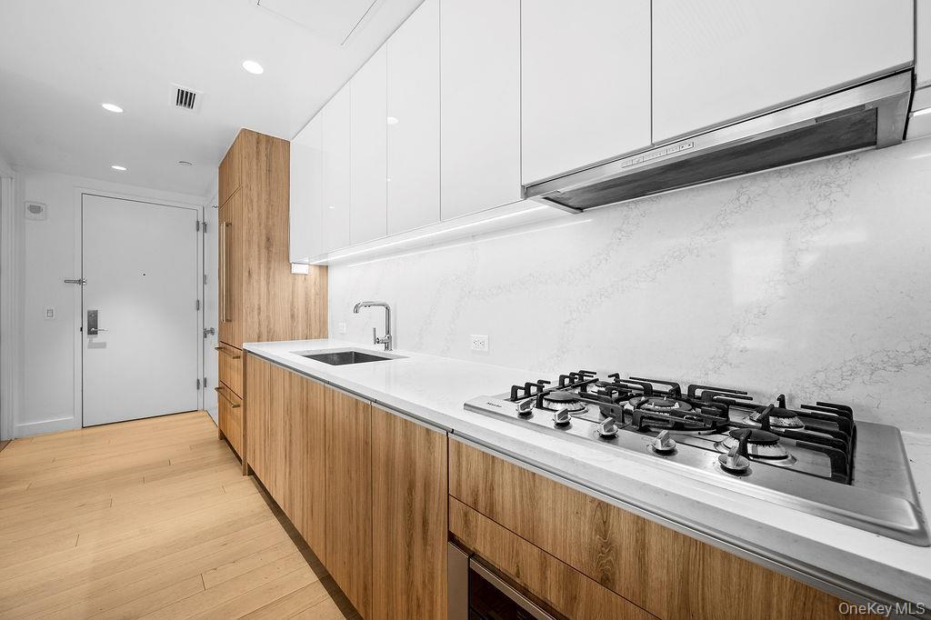 Condo Maple  Queens, NY 11355, MLS-978042-7