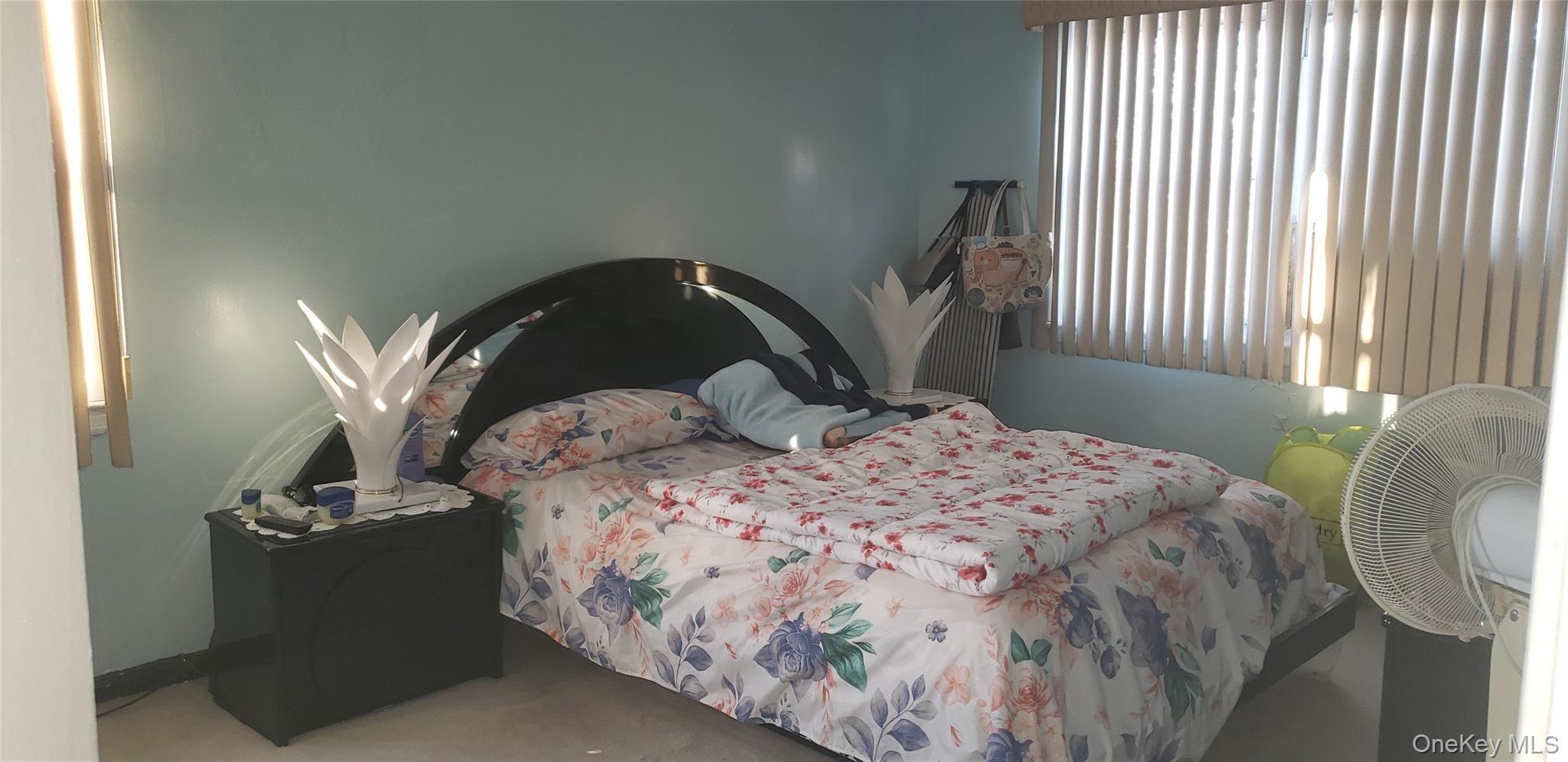 Single Family Swinton  Bronx, NY 10465, MLS-978068-18