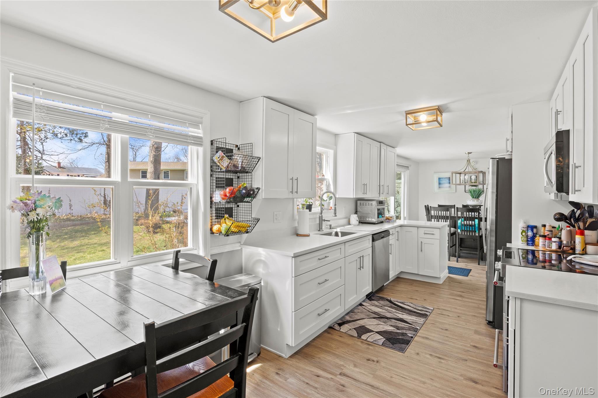 Single Family Allegheny Drive E Suffolk County, NY 11738, MLS-978088-8