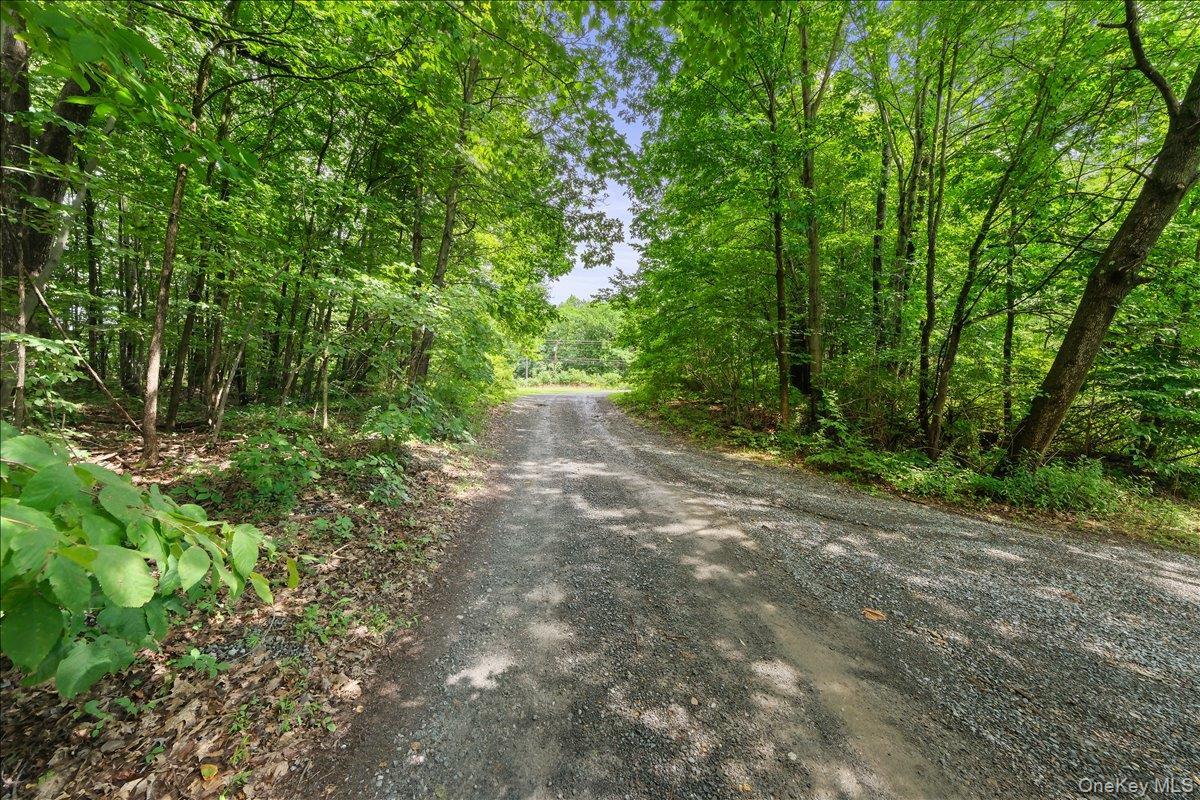 Single Family Beckrick  Dutchess County, NY 12572, MLS-978117-4