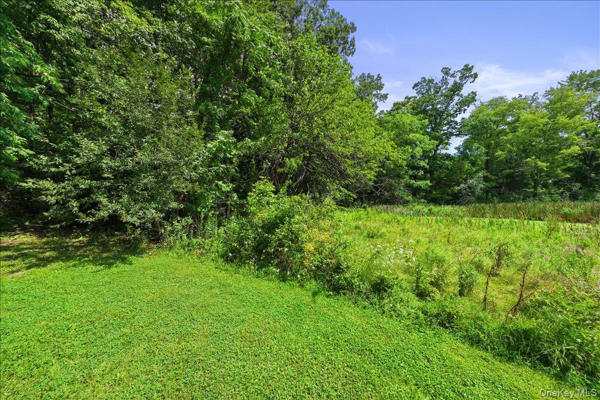 Single Family Beckrick  Dutchess County, NY 12572, MLS-978117-5