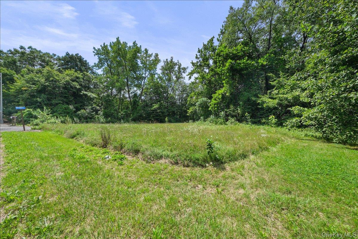 Single Family Beckrick  Dutchess County, NY 12572, MLS-978117-6