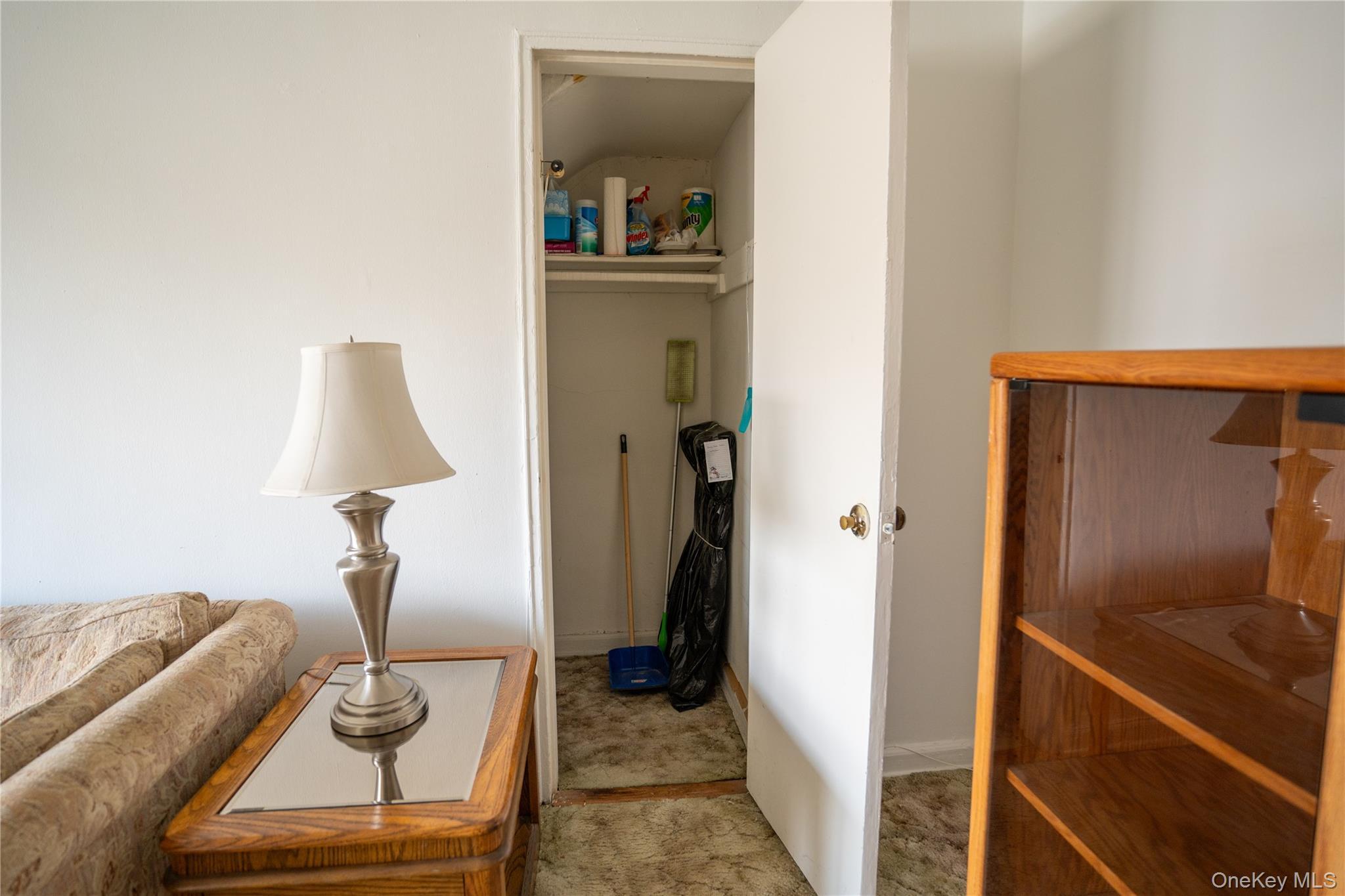 Coop Jewel  Queens, NY 11367, MLS-978141-19