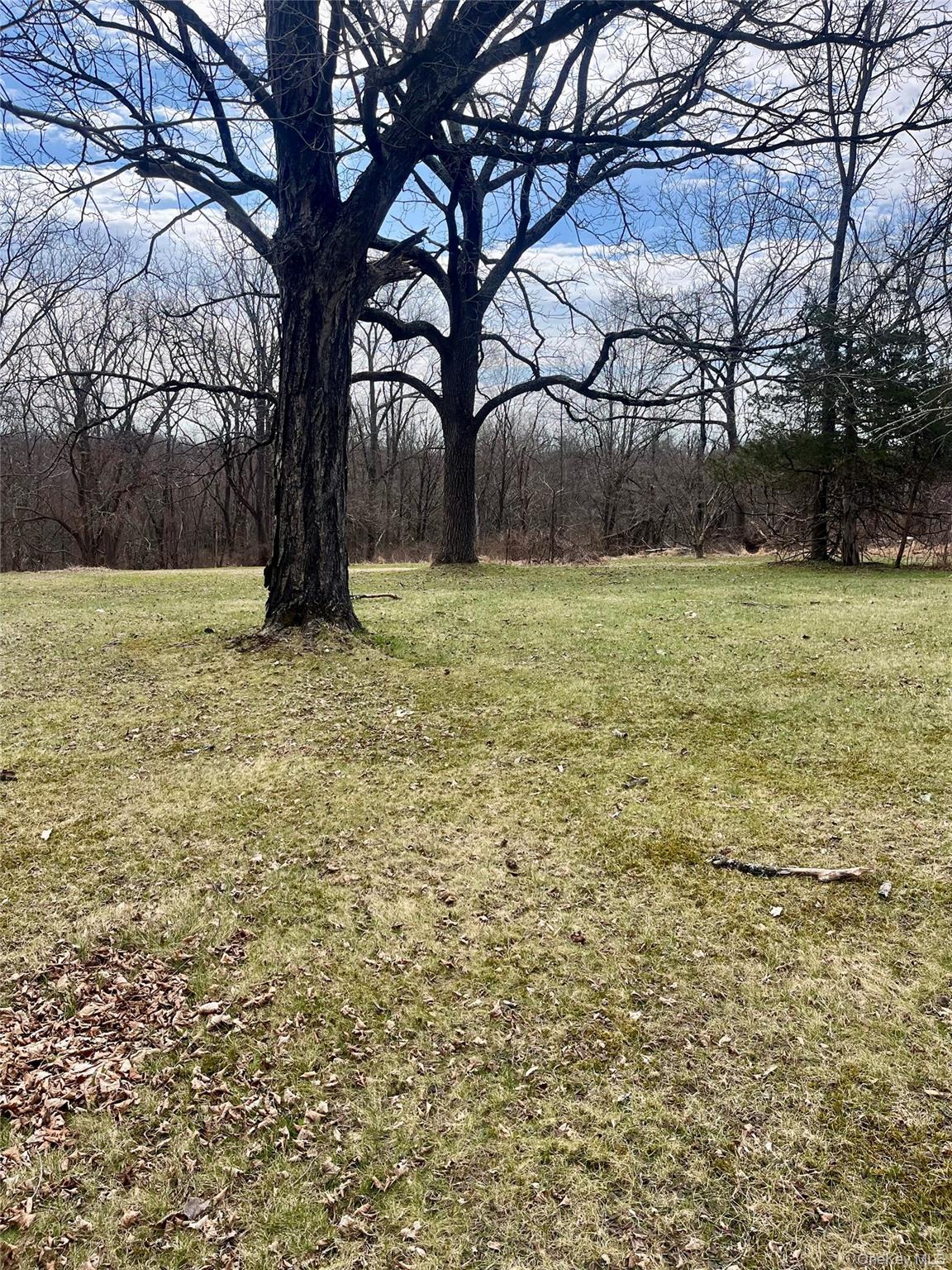 Single Family Route 17k  Orange County, NY 12721, MLS-978165-5