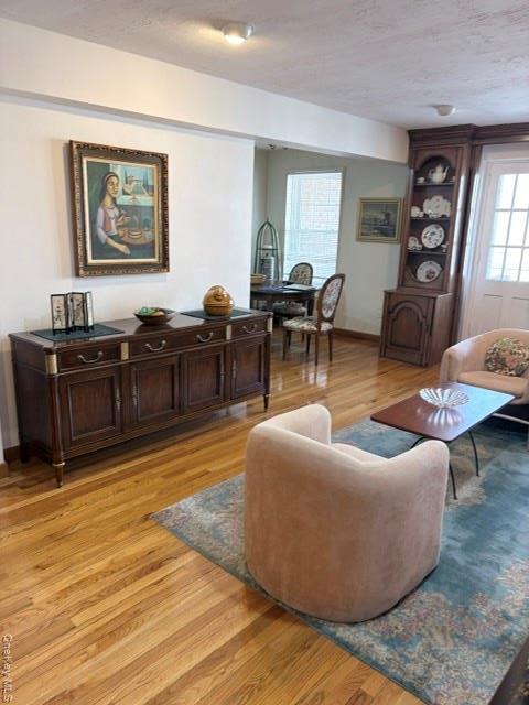 Condo 153rd  Queens, NY 11414, MLS-978202-11