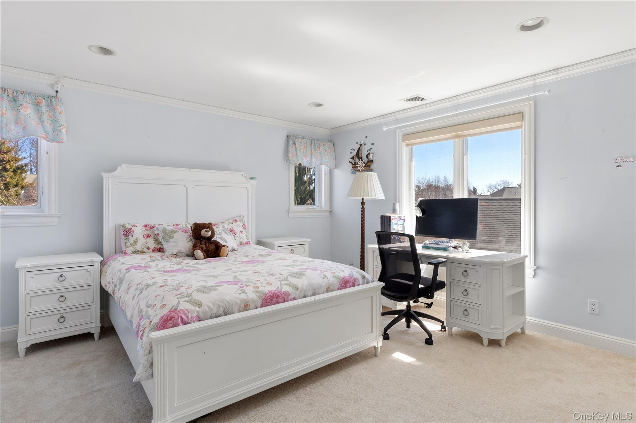 Single Family Meadow Lane  Nassau County, NY 11030, MLS-978268-21