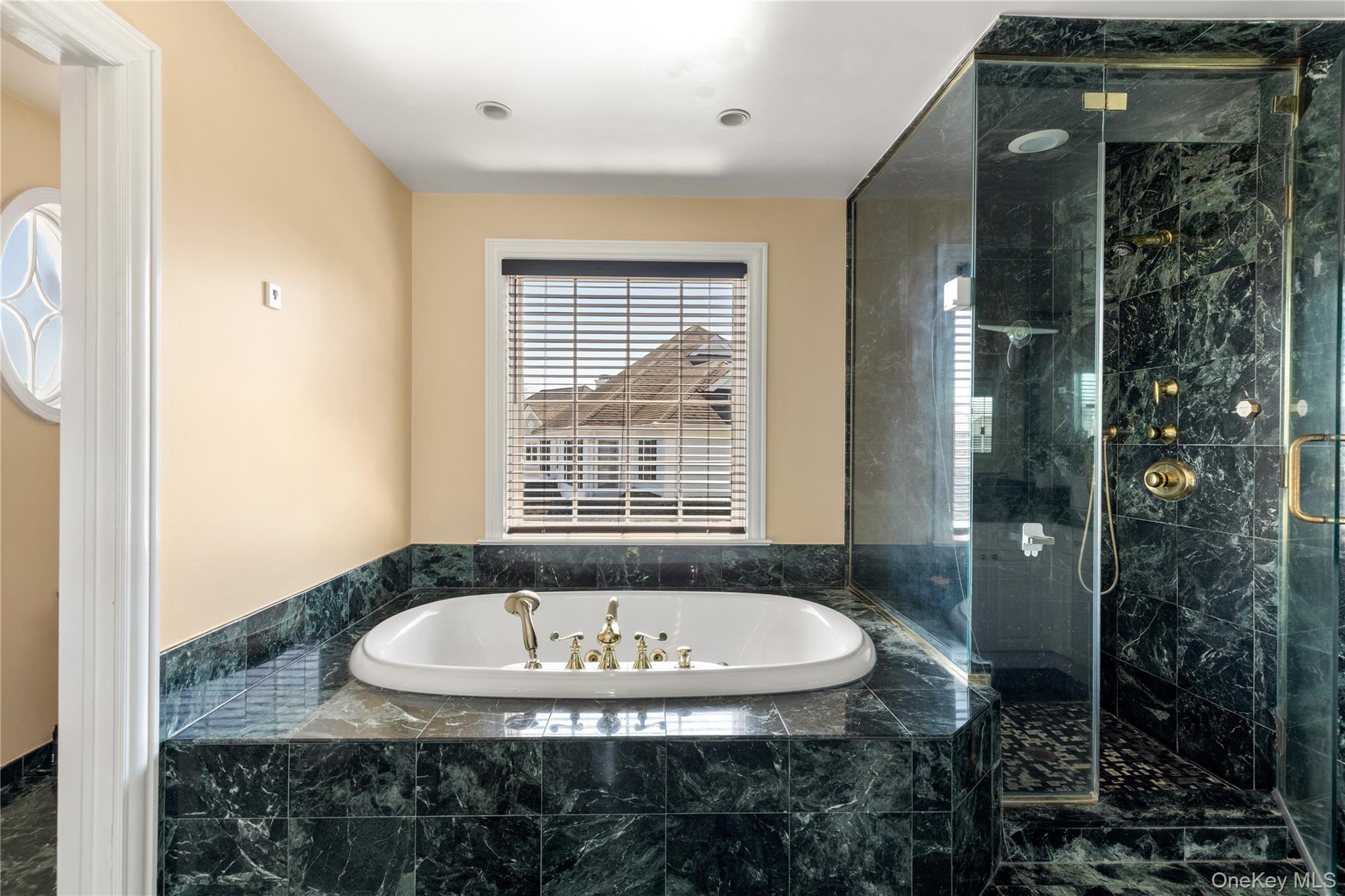 Single Family Meadow Lane  Nassau County, NY 11030, MLS-978268-25