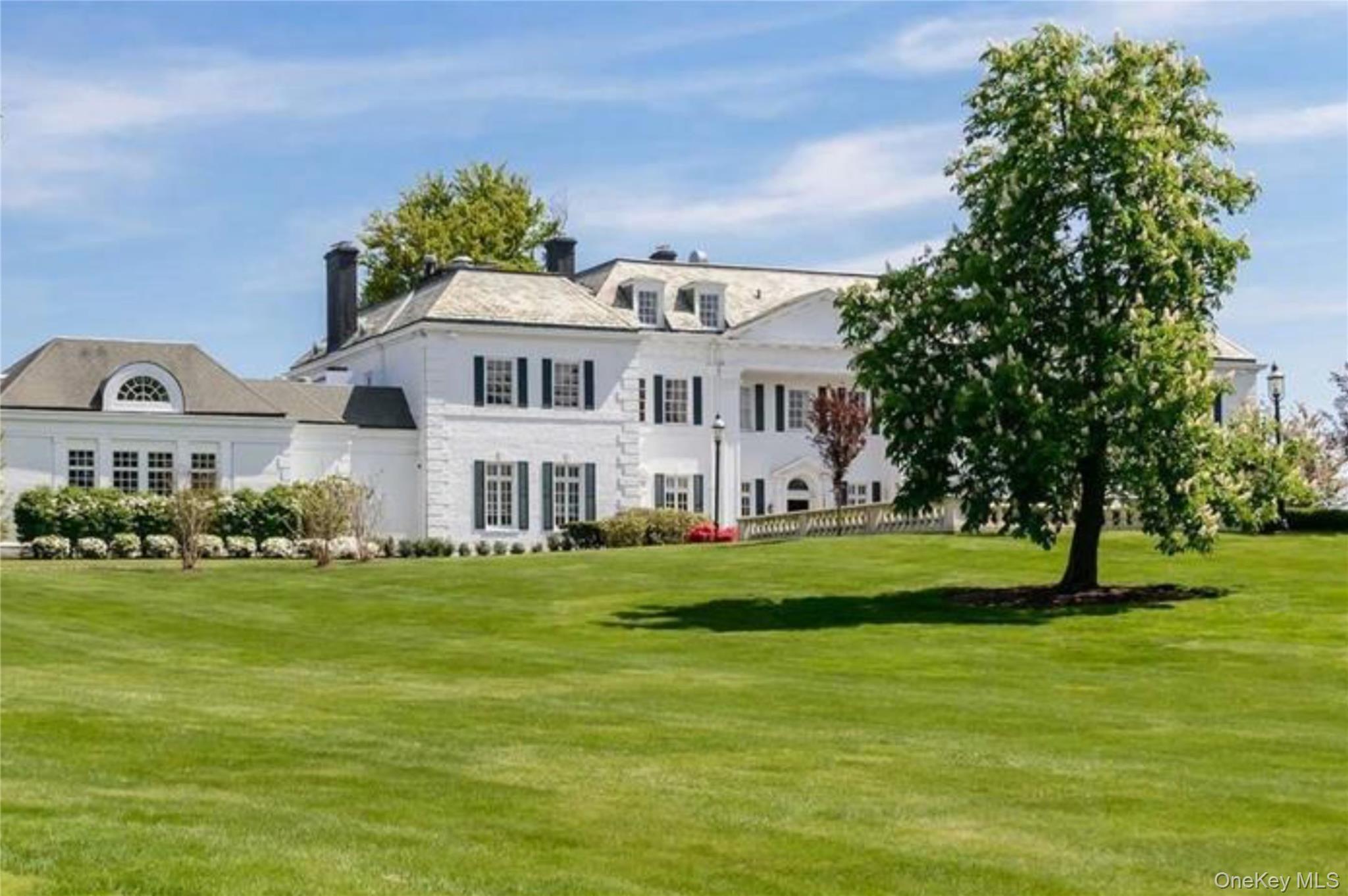 Single Family Meadow Lane  Nassau County, NY 11030, MLS-978268-35