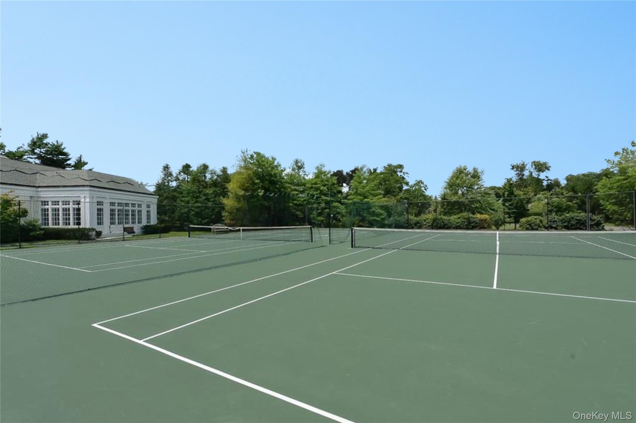 Single Family Meadow Lane  Nassau County, NY 11030, MLS-978268-38
