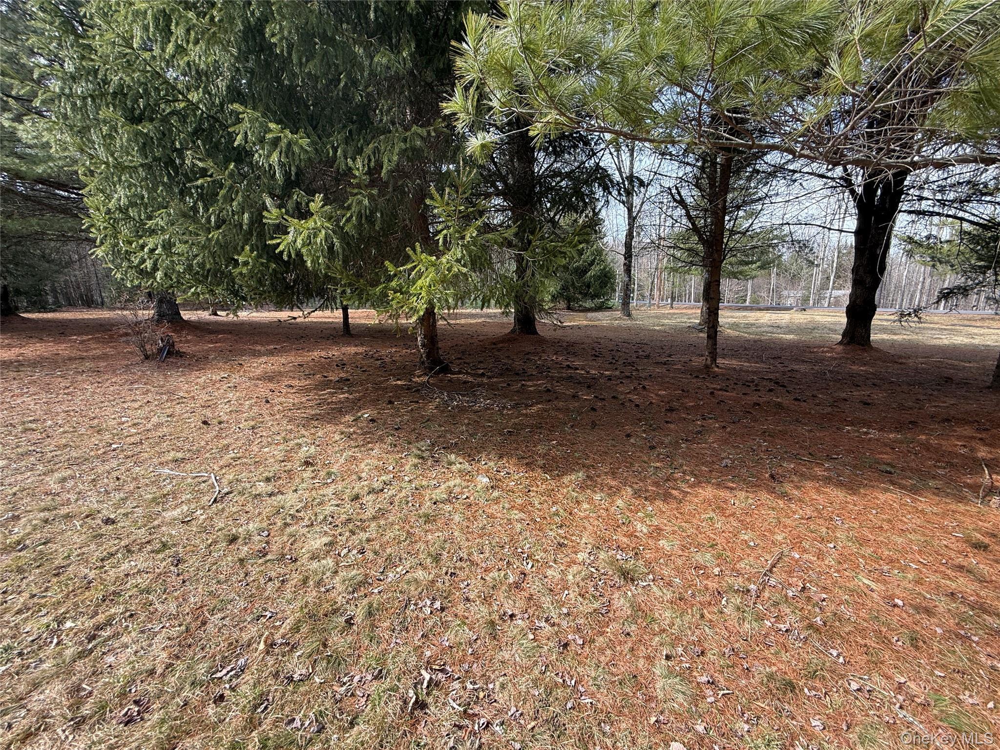 Single Family Ulster Heights Ulster County, NY 12428, MLS-978284-31