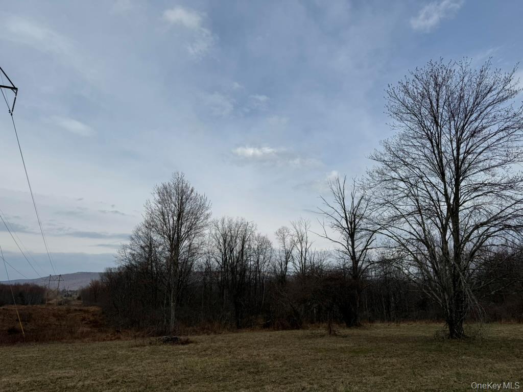 Single Family Stokes Ulster County, NY 12525, MLS-978301-3
