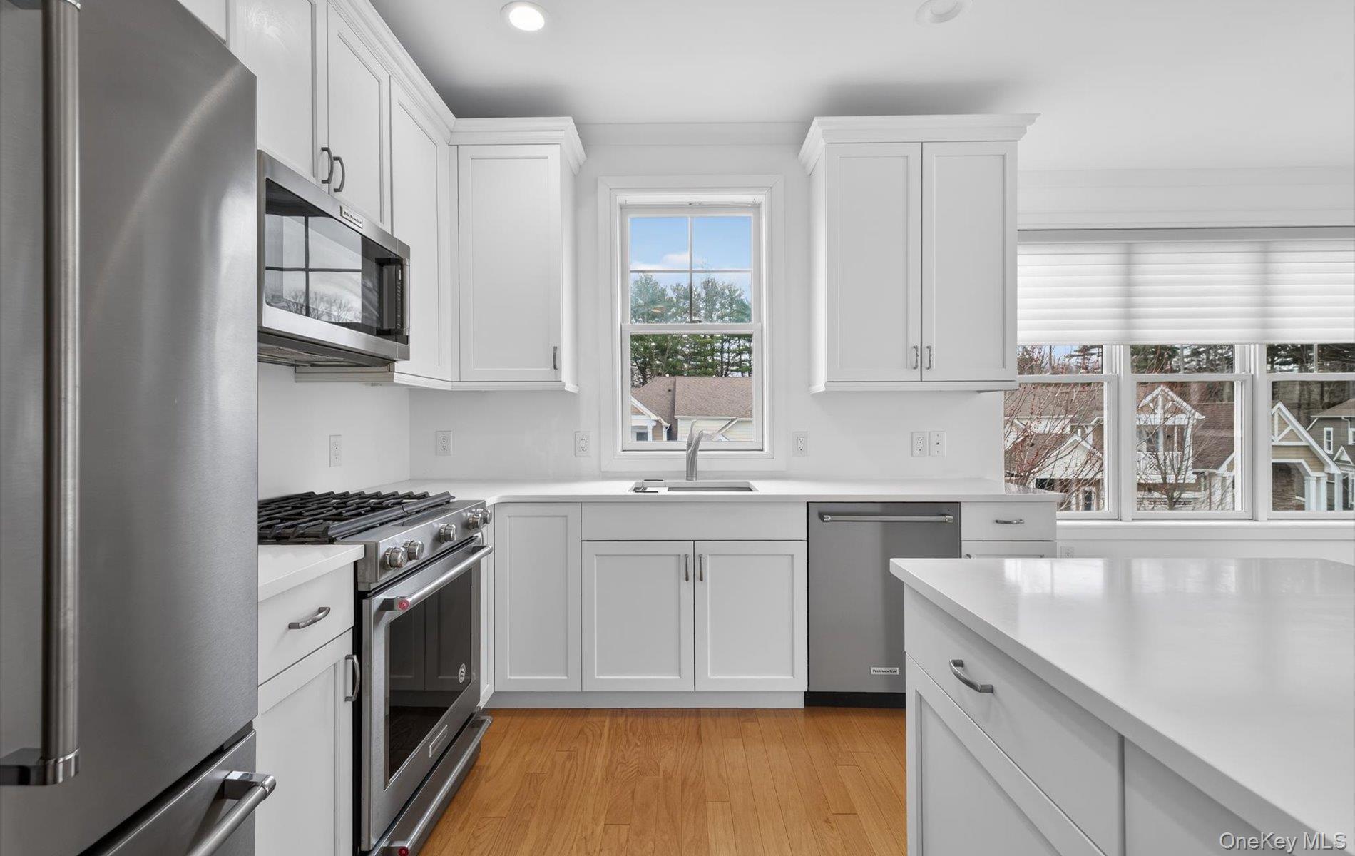 Condo Spruce Pond  Nassau County, NY 11803, MLS-978355-10