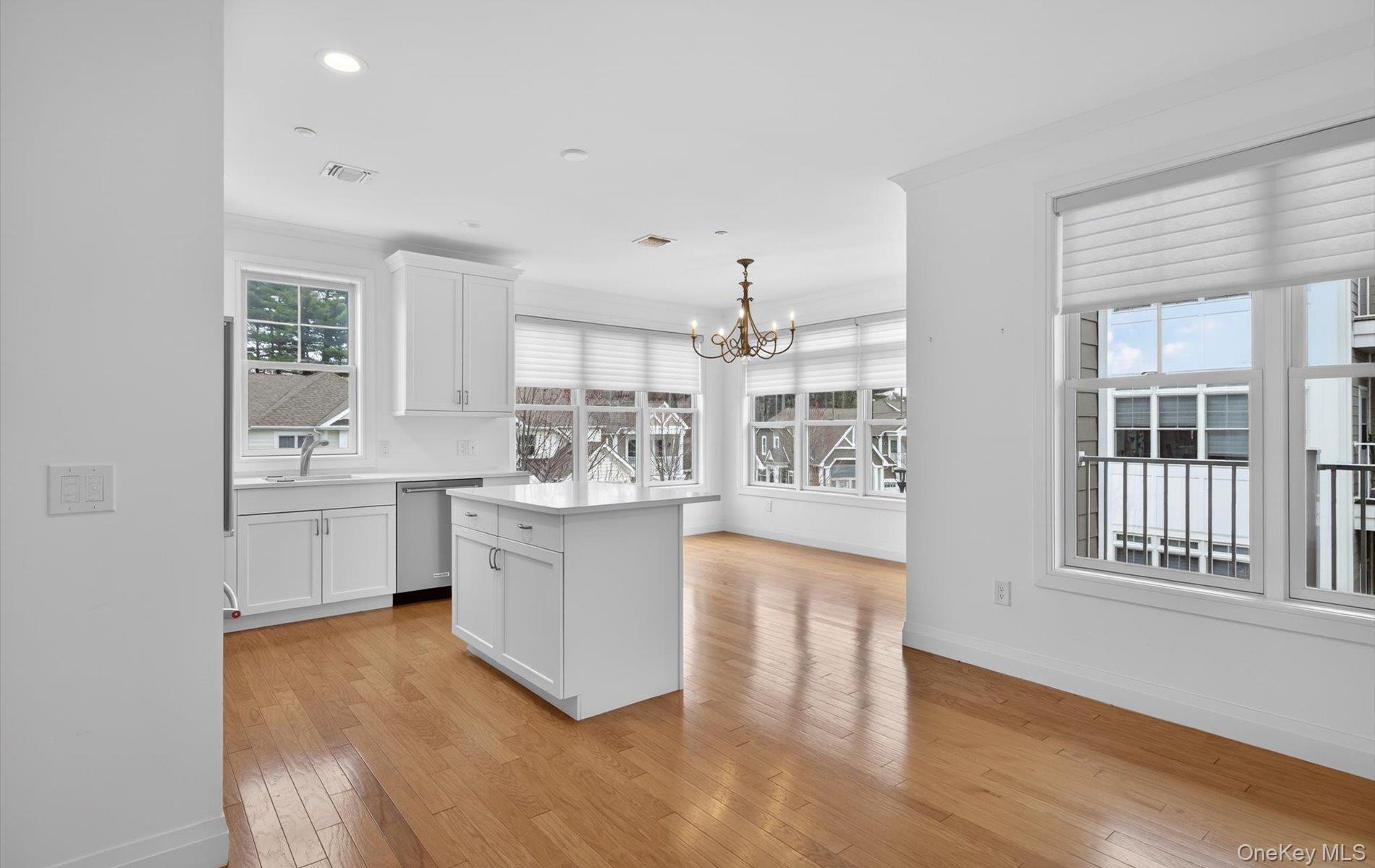 Condo Spruce Pond  Nassau County, NY 11803, MLS-978355-12